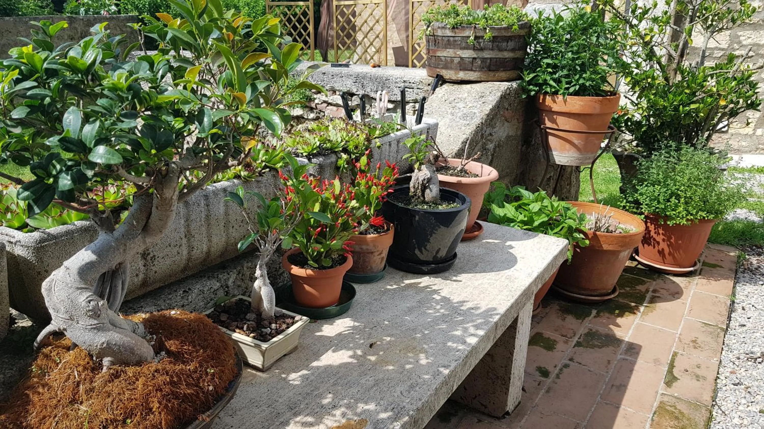 Patio in San Paterno B&B