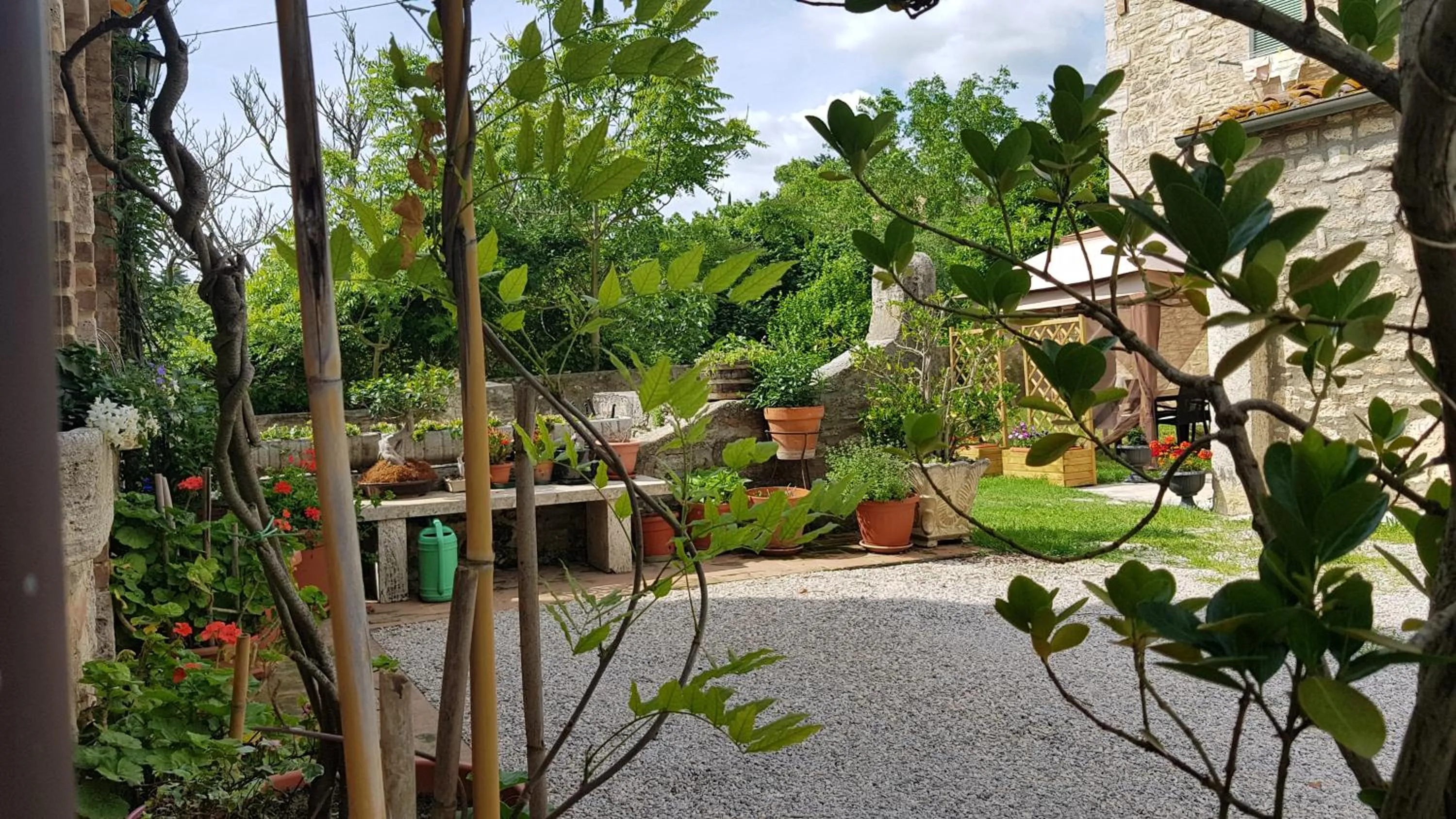 Garden in San Paterno B&B