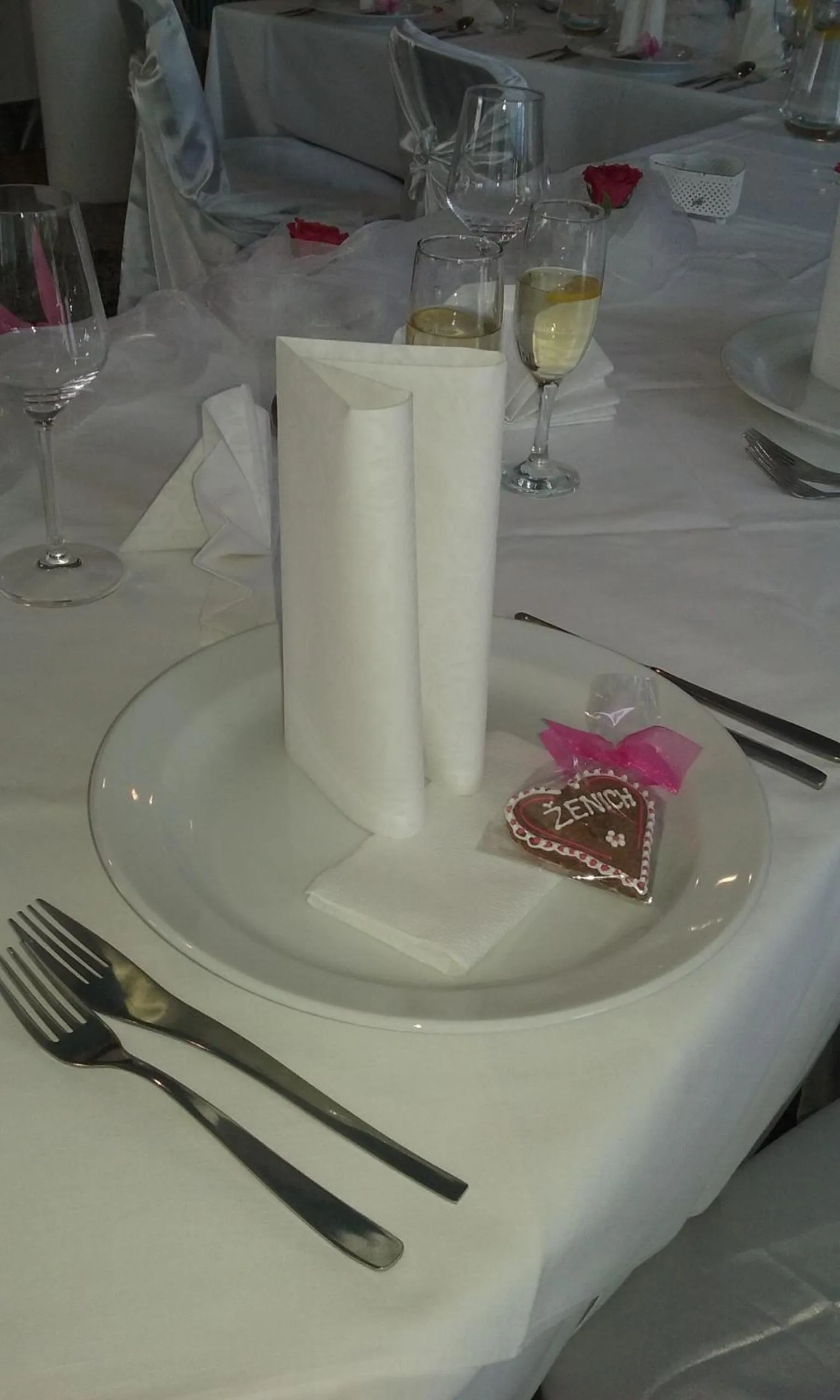 Activities in Hotel Rozvoj