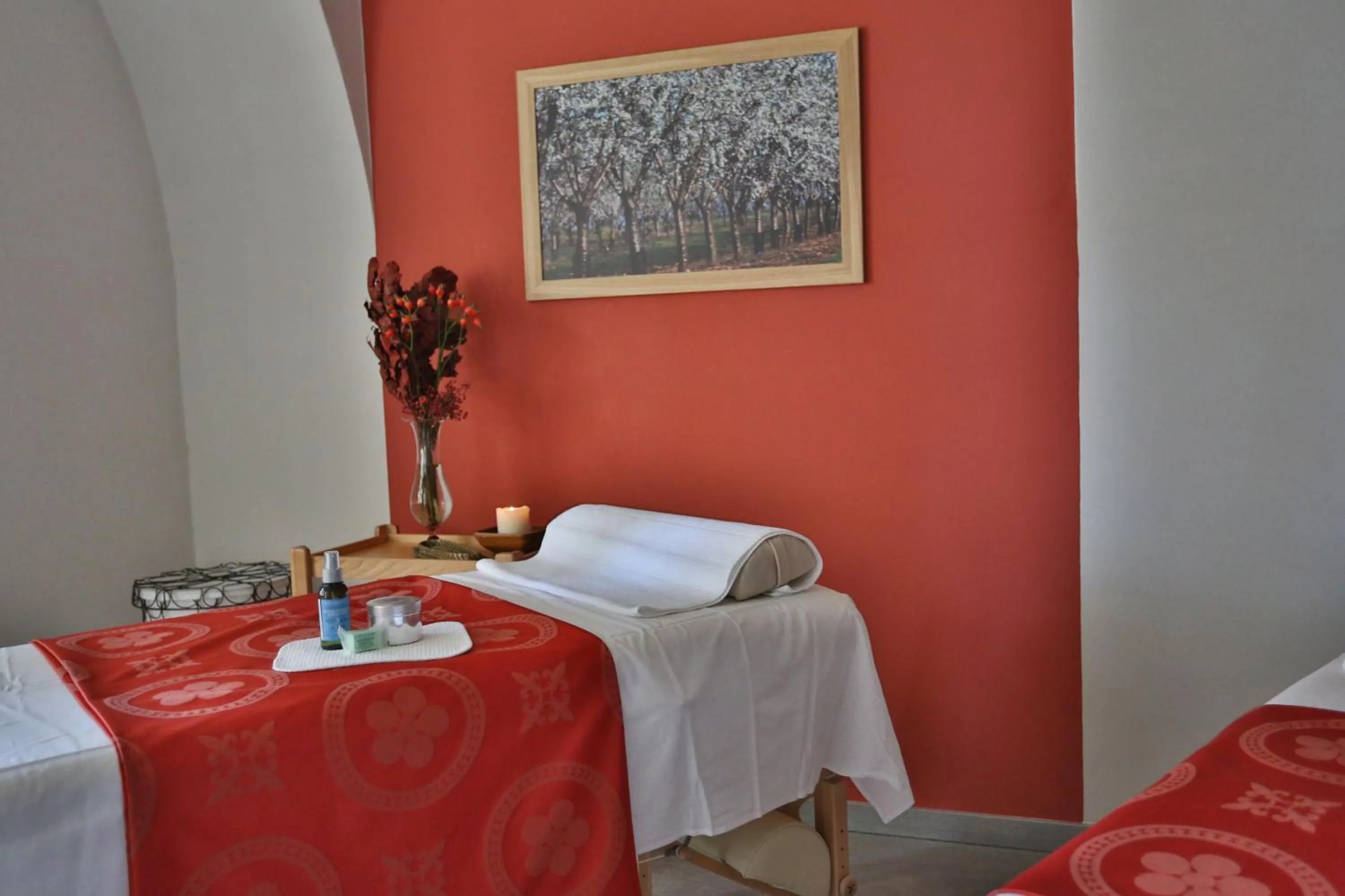 Spa and wellness centre/facilities, Bed in Chateau Herálec Boutique Hotel & Spa by L'Occitane