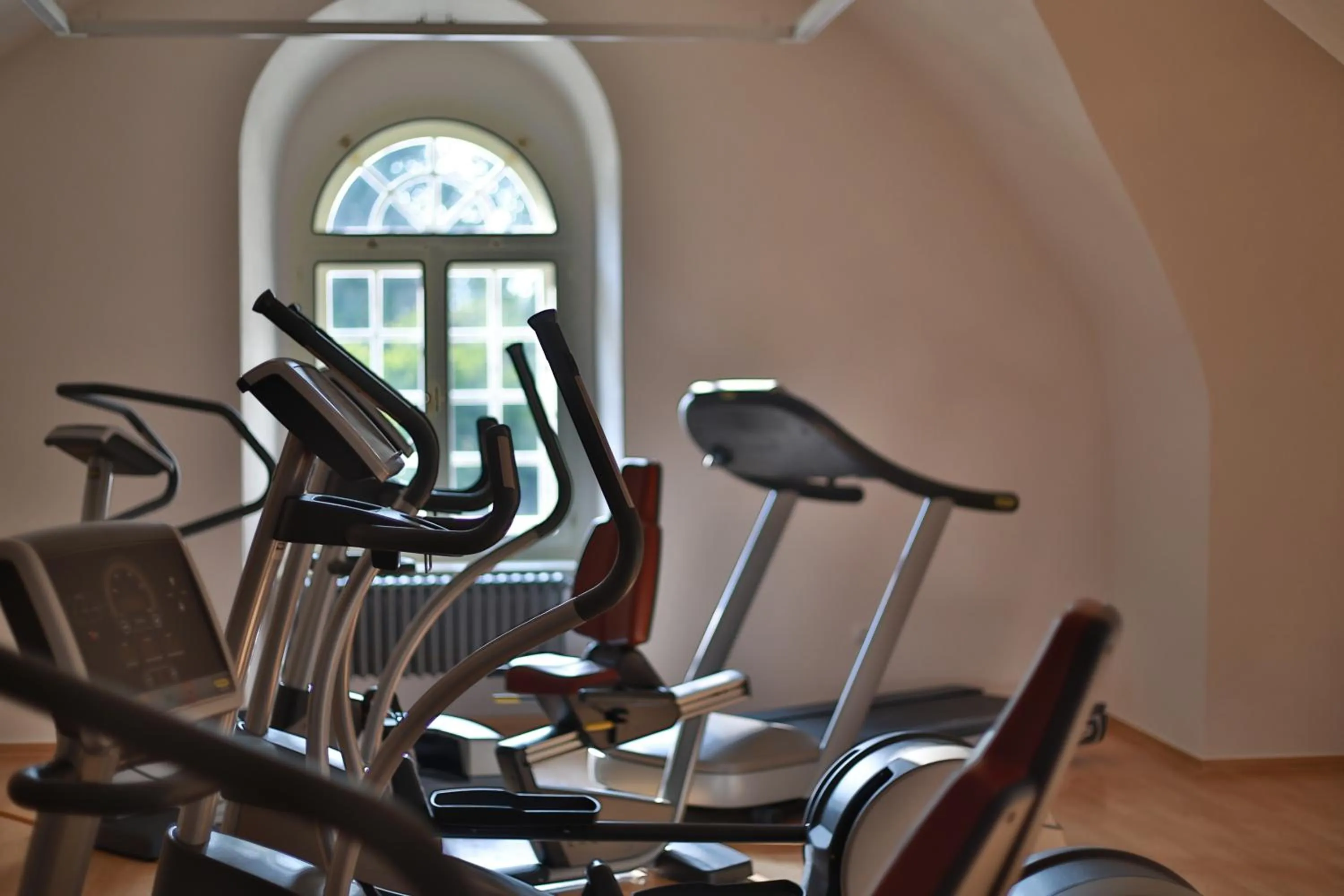 Fitness centre/facilities in Chateau Herálec Boutique Hotel & Spa by L'Occitane