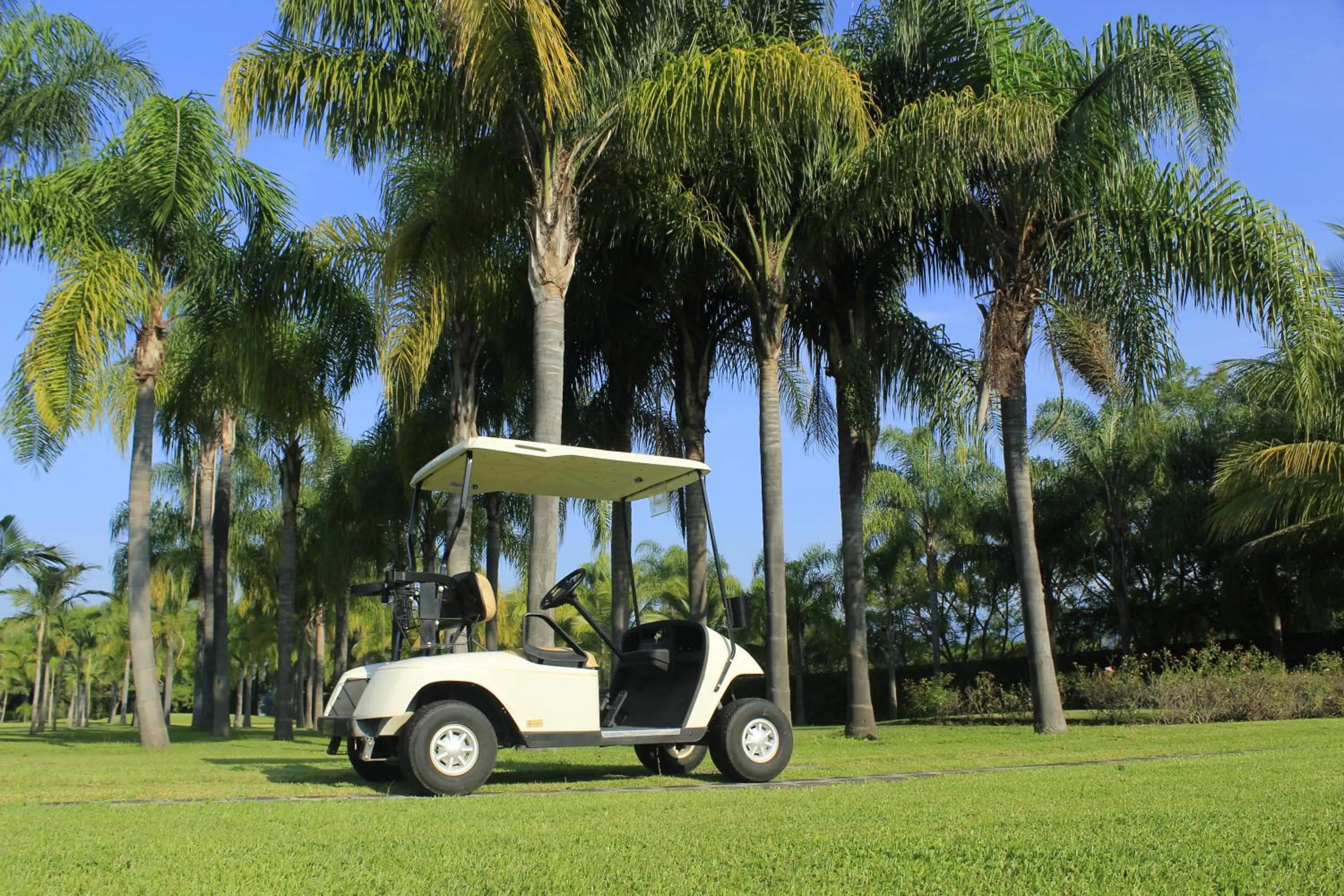 Activities in The Lorian Club