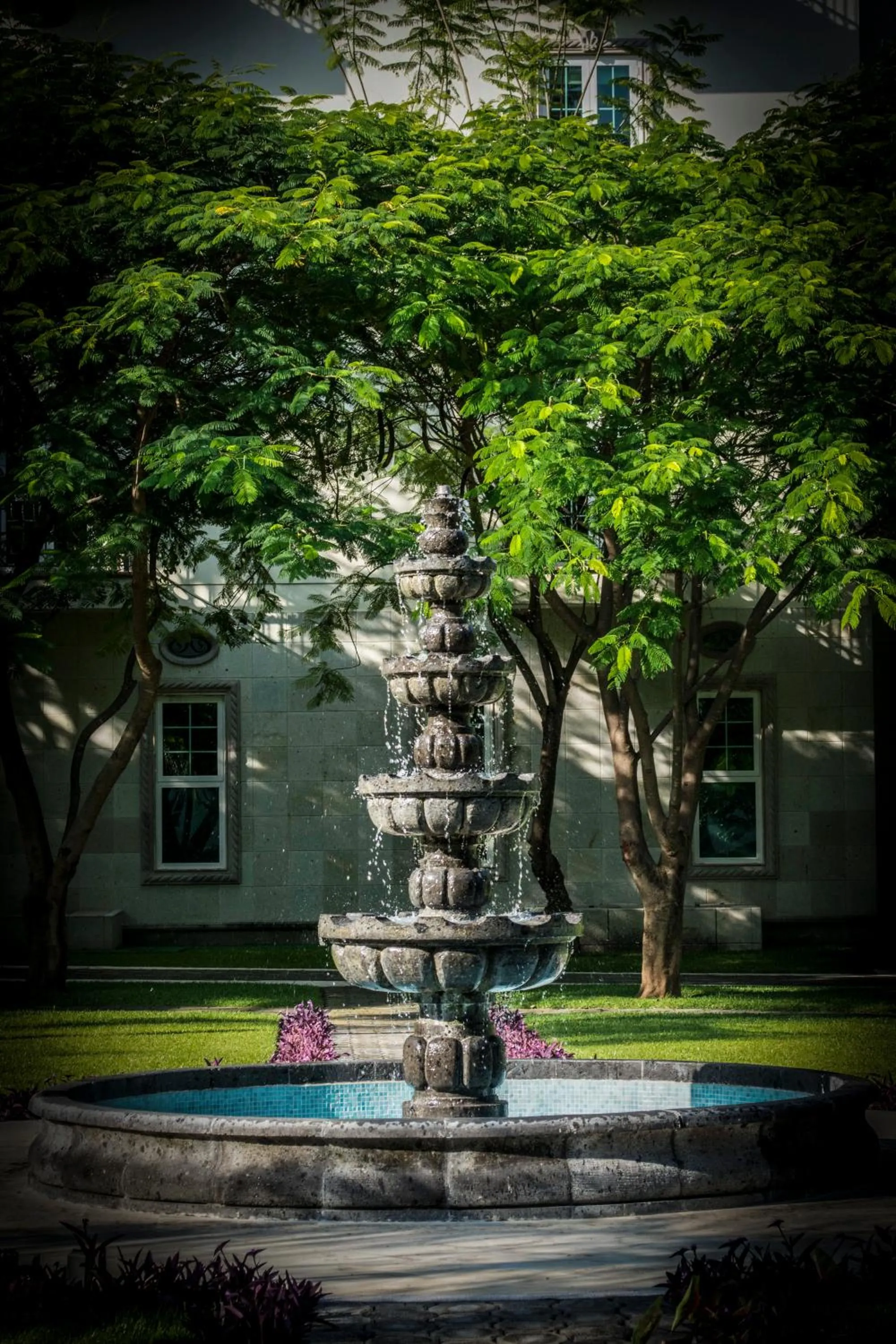 Garden view in The Lorian Club