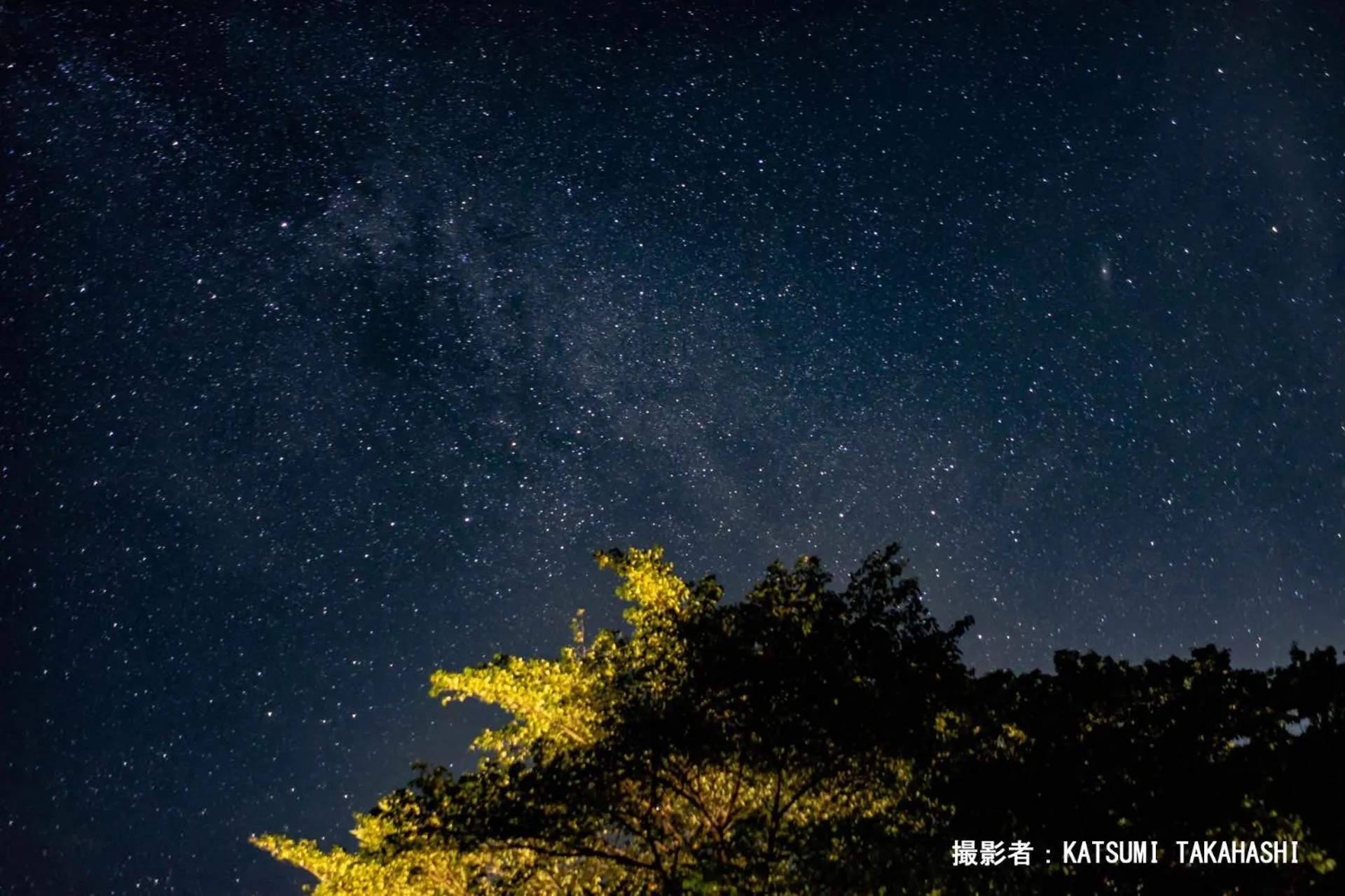 Night in Shomarutoge Garden House