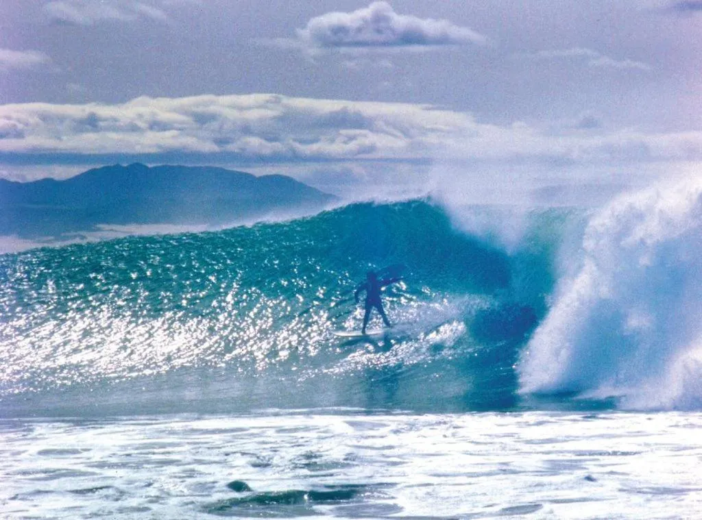 Natural landscape in Diaz 15 House on the Bay