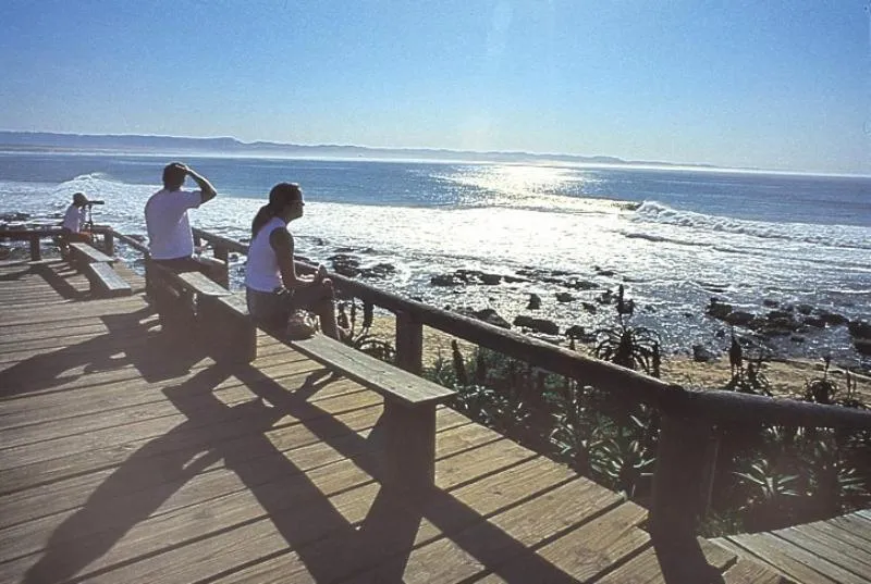 Patio in Diaz 15 House on the Bay