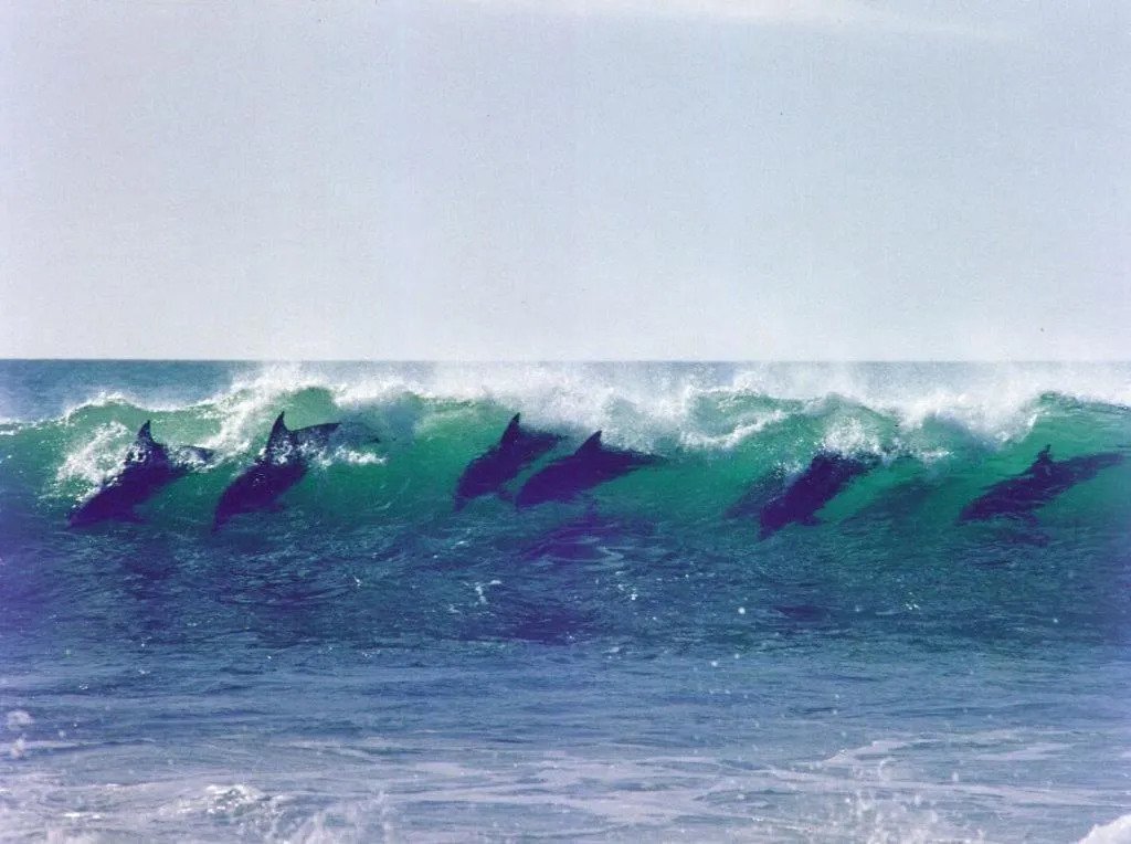 Day in Diaz 15 House on the Bay