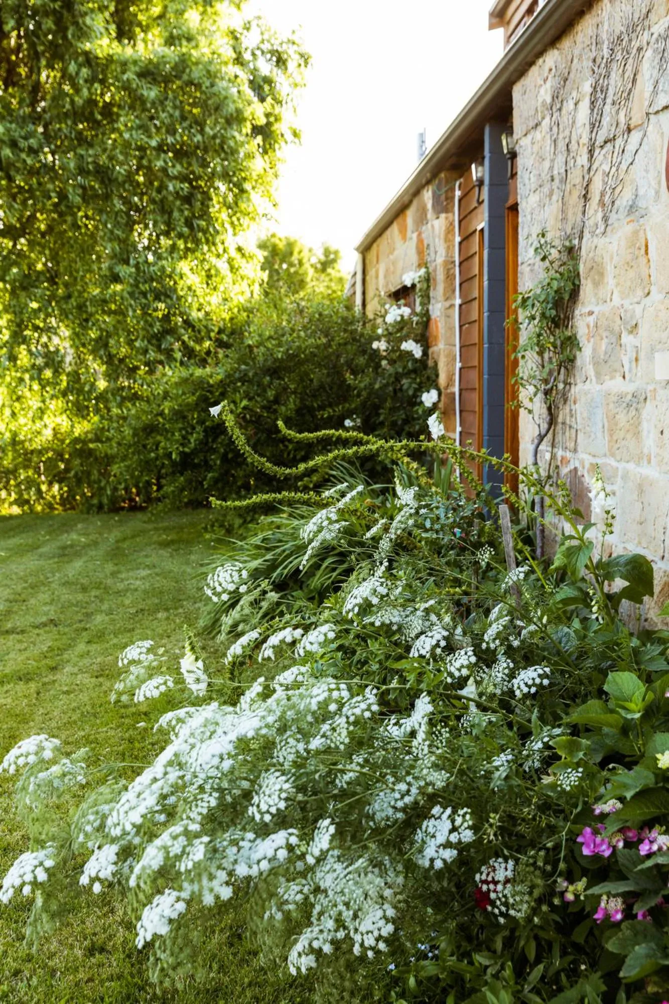 Property building in Daisy Bank Cottages