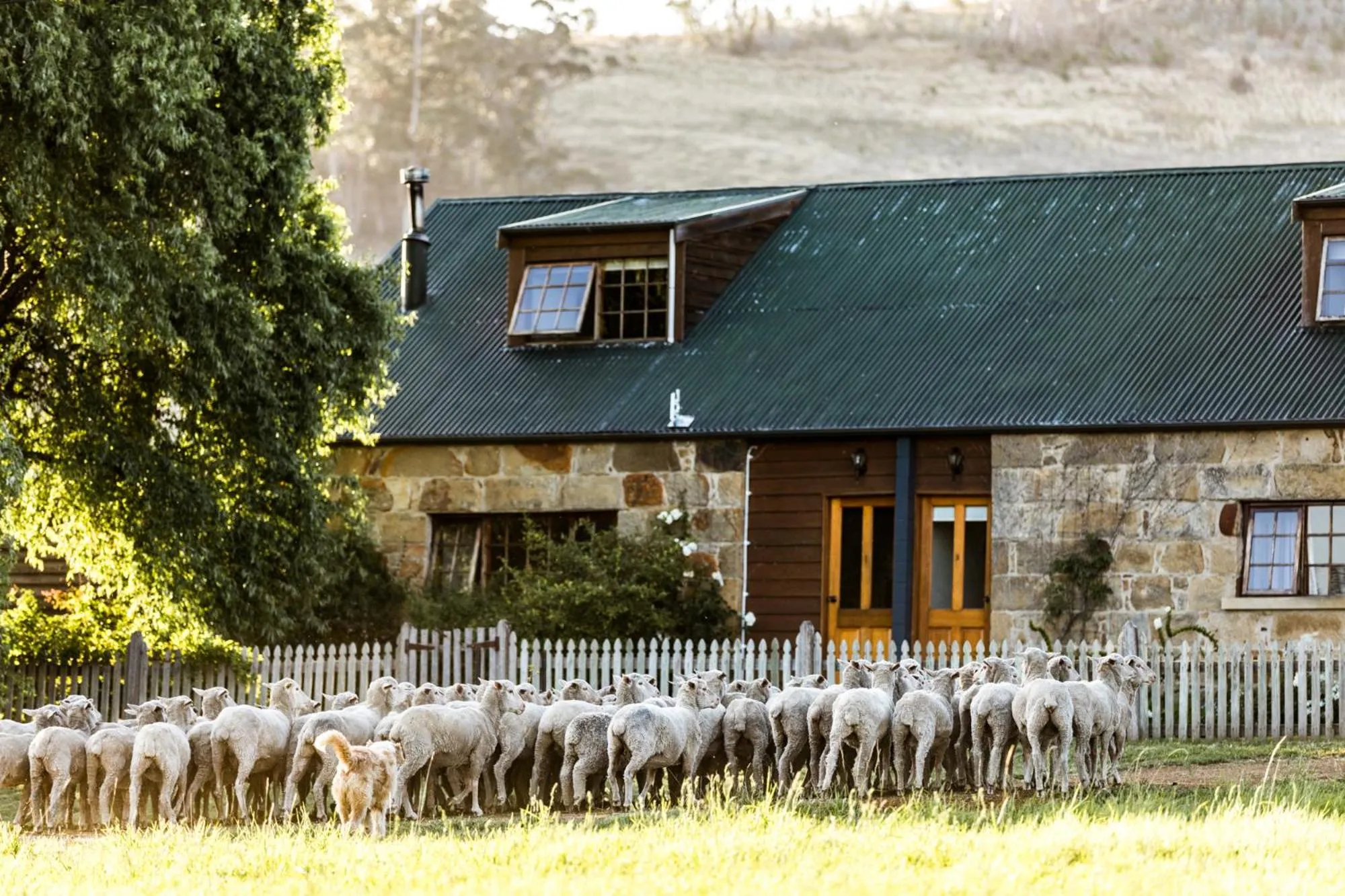 Property building in Daisy Bank Cottages