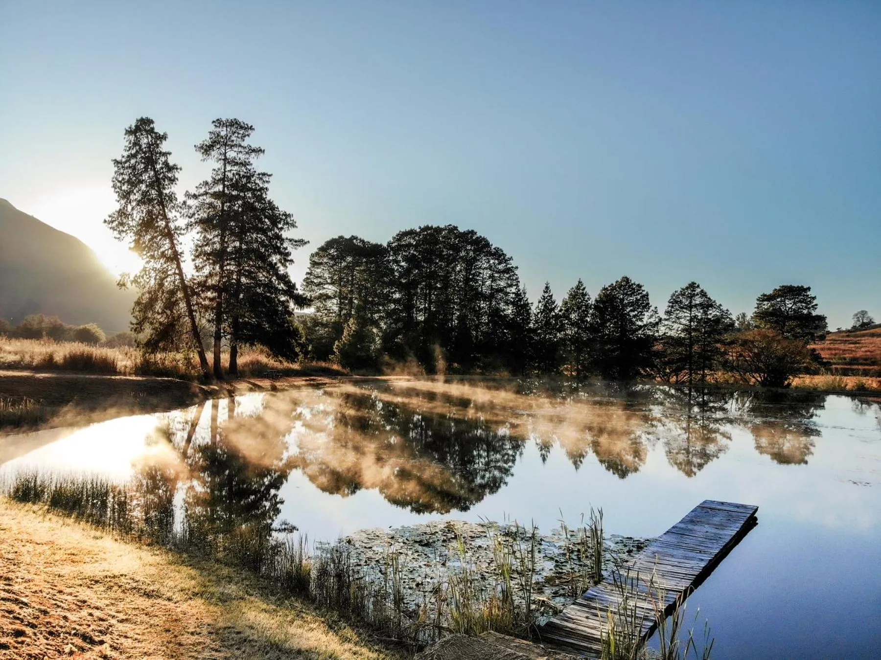 Spring in Stonecutters Lodge