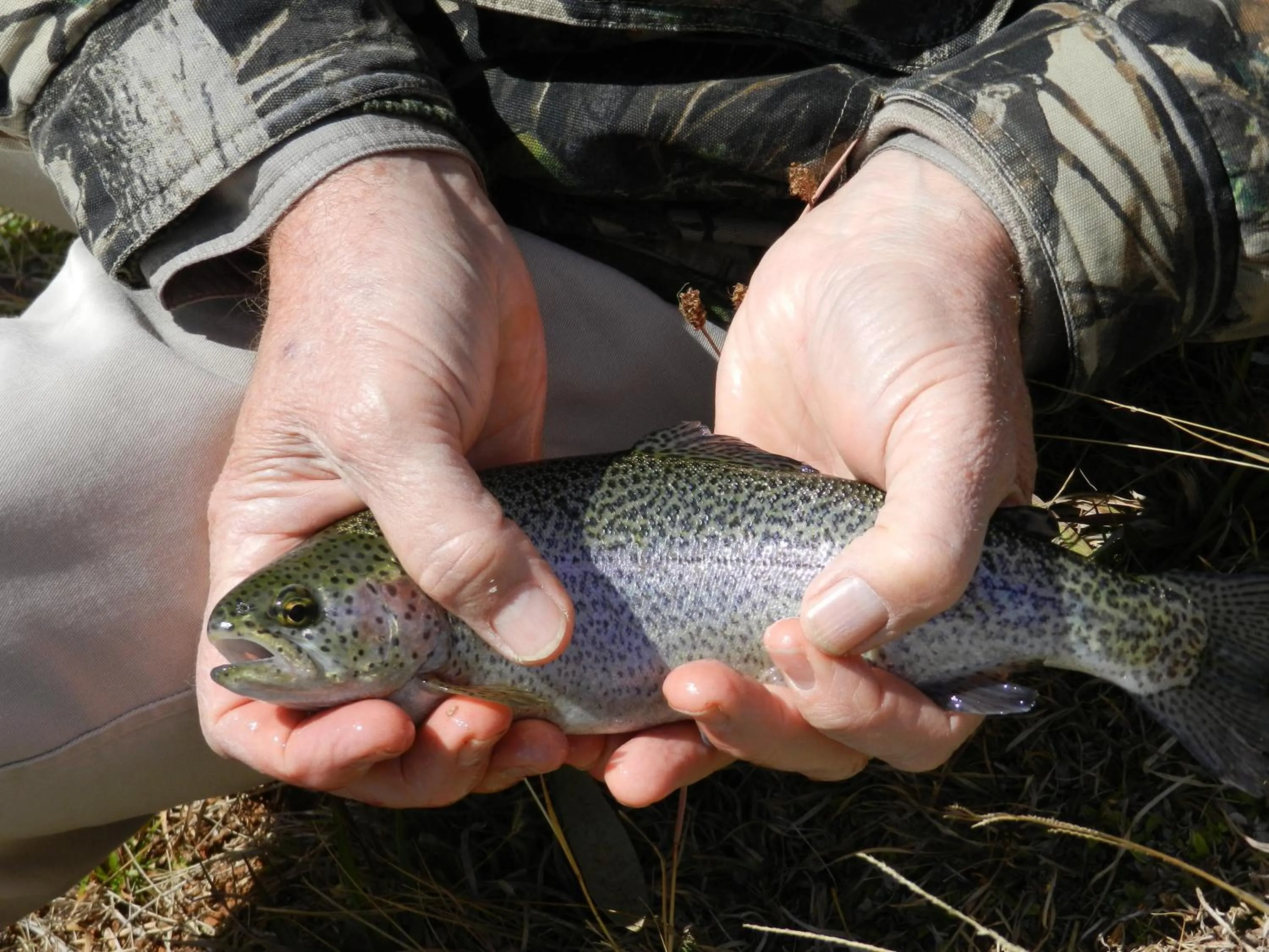 Fishing in Stonecutters Lodge