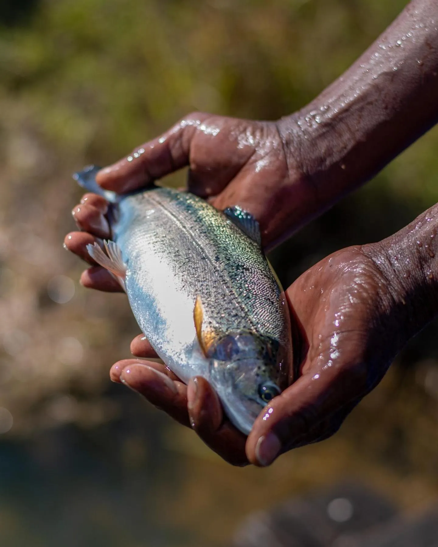 Fishing in Stonecutters Lodge