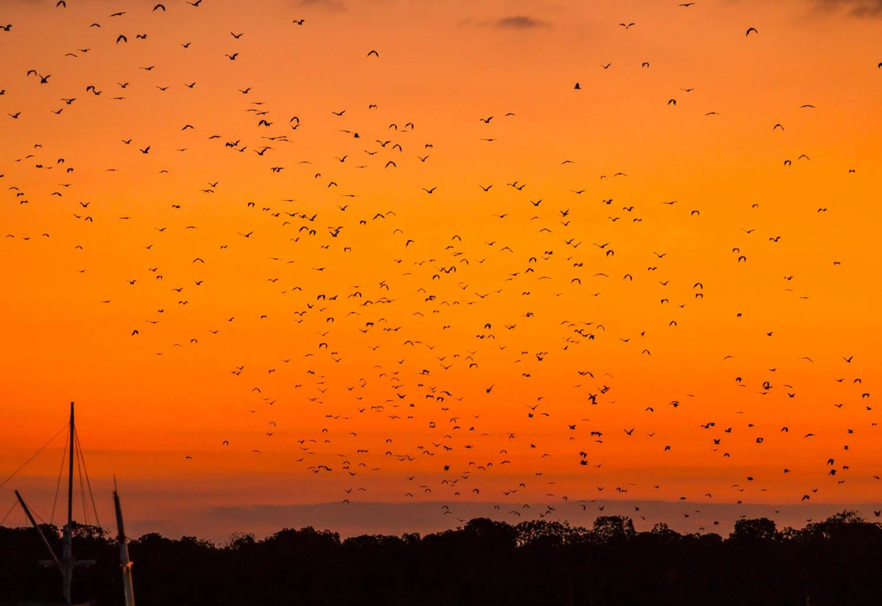 Natural landscape in AYANA Komodo Waecicu Beach