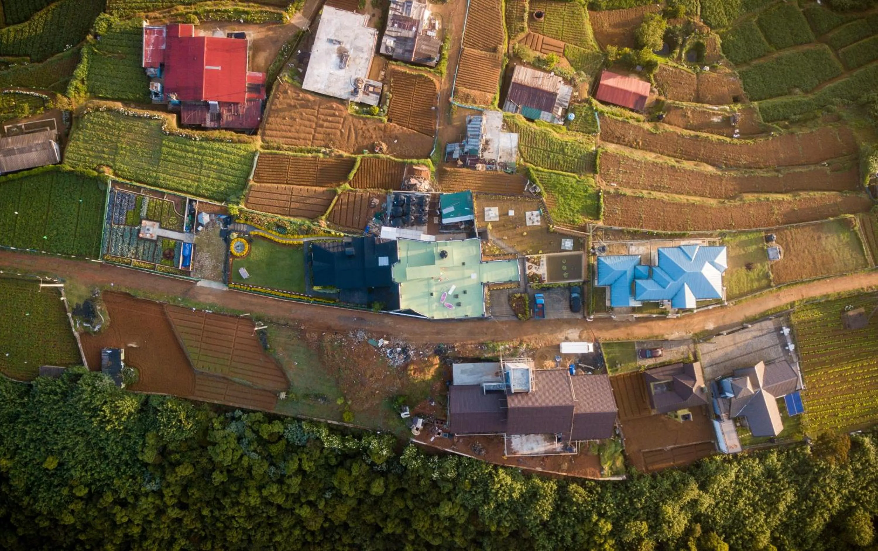 Property building in The Forest and Lake by Schofieldshire