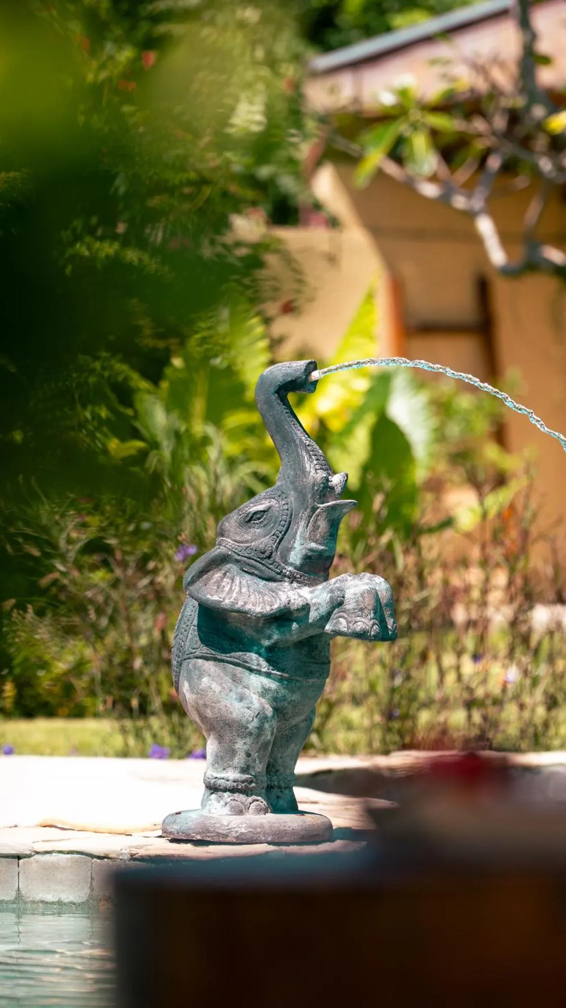 Swimming pool in Green Escape Eco Resort