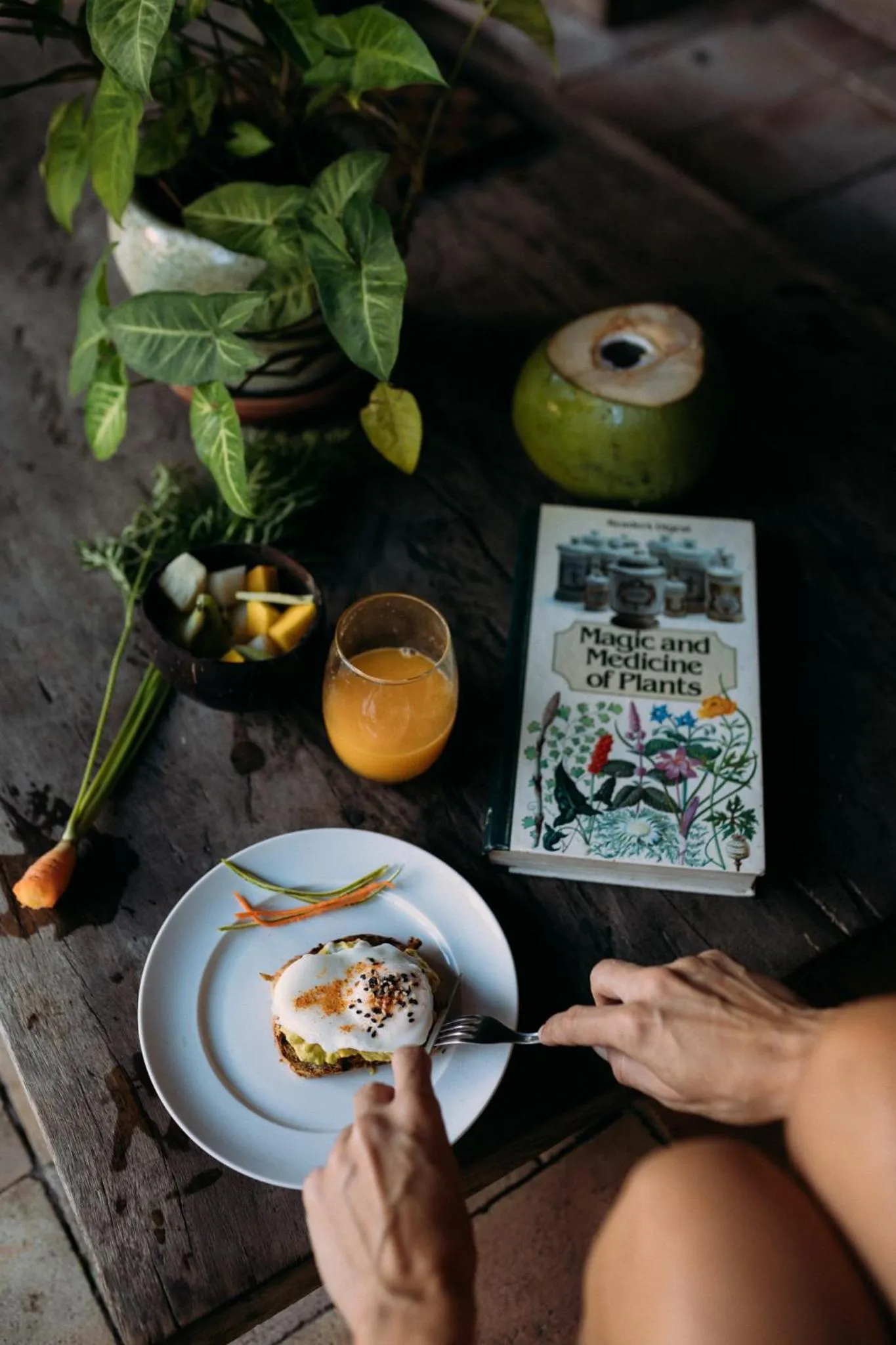 Food and drinks in Pousada Lagoa