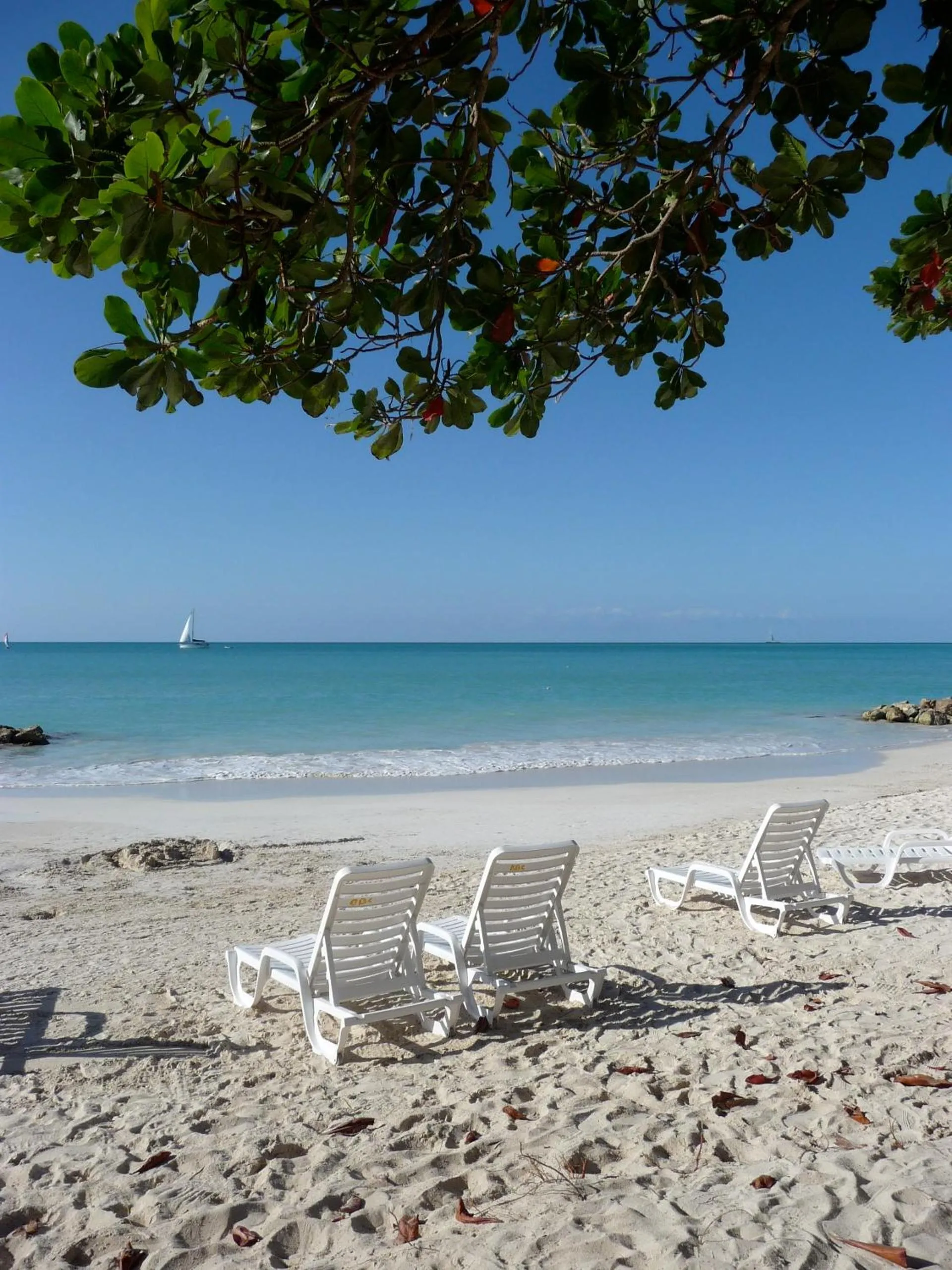Beach in Buccaneer Beach Club