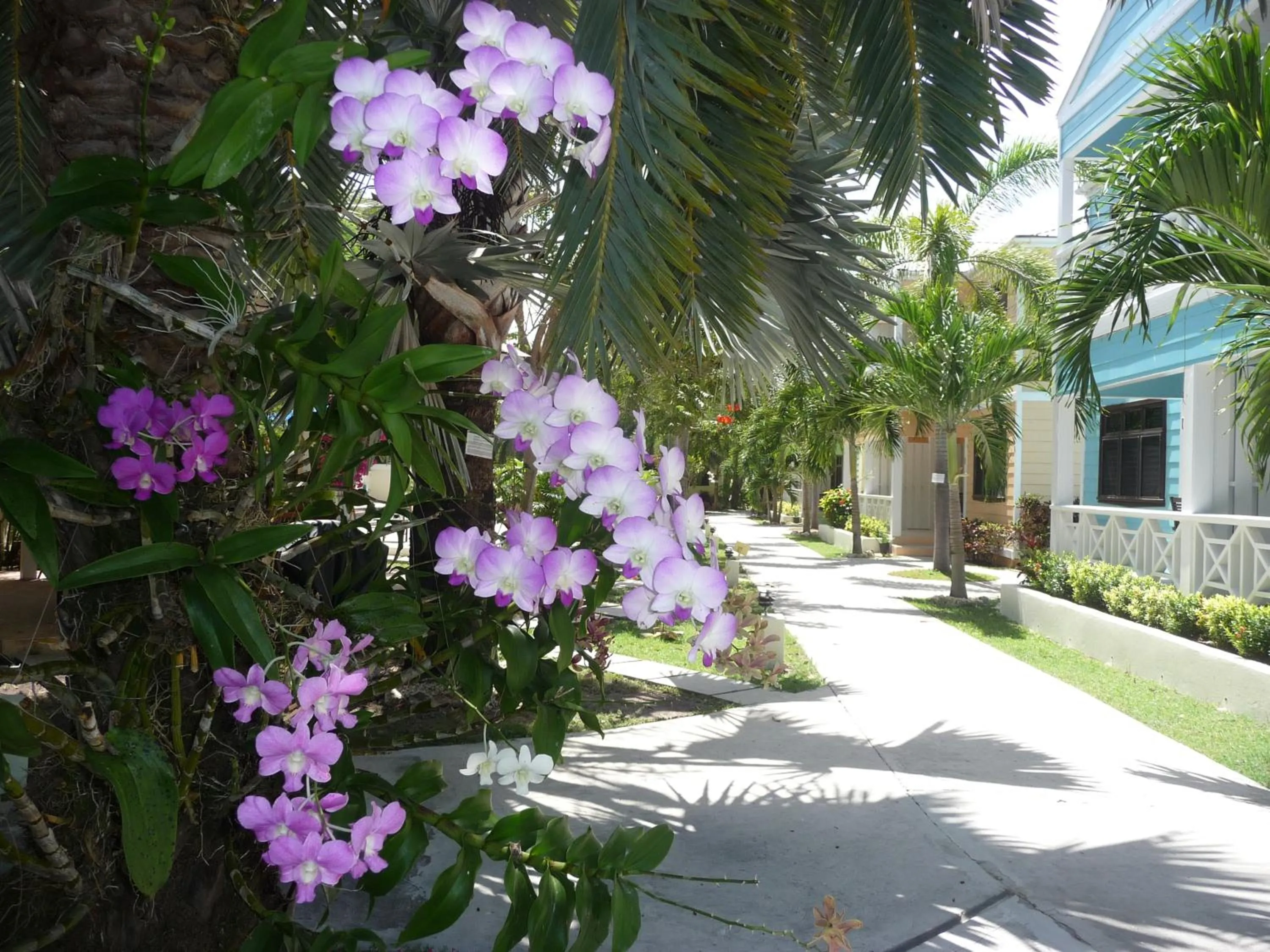 Balcony/Terrace in Buccaneer Beach Club