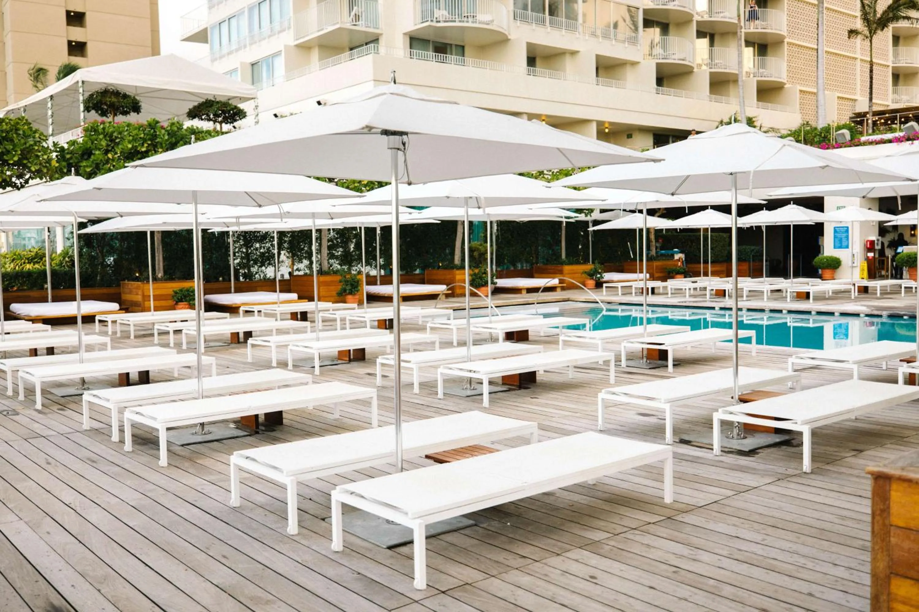 Pool view in Hilton Vacation Club The Modern Honolulu