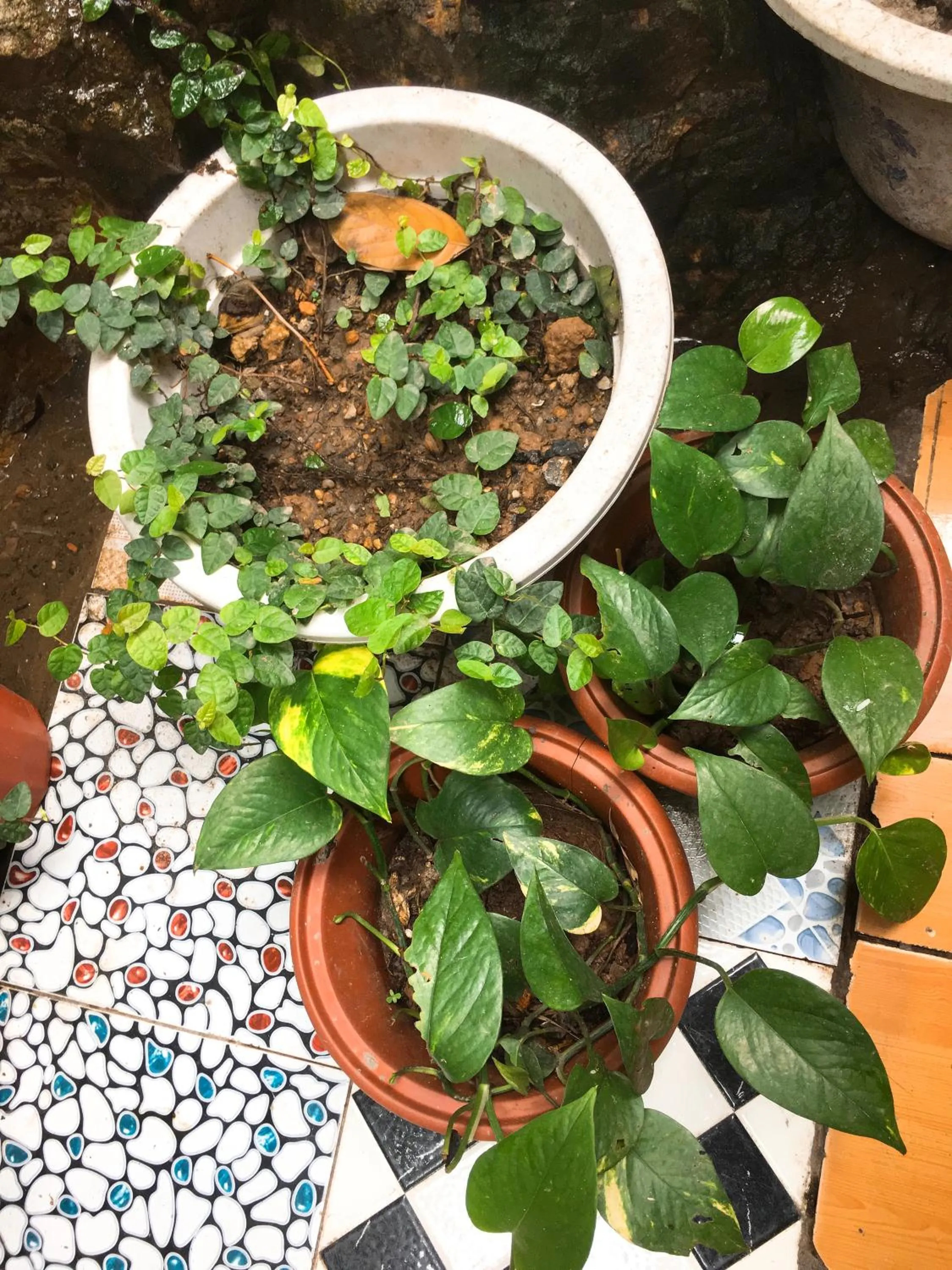 BBQ facilities in Halo Bay Homestay