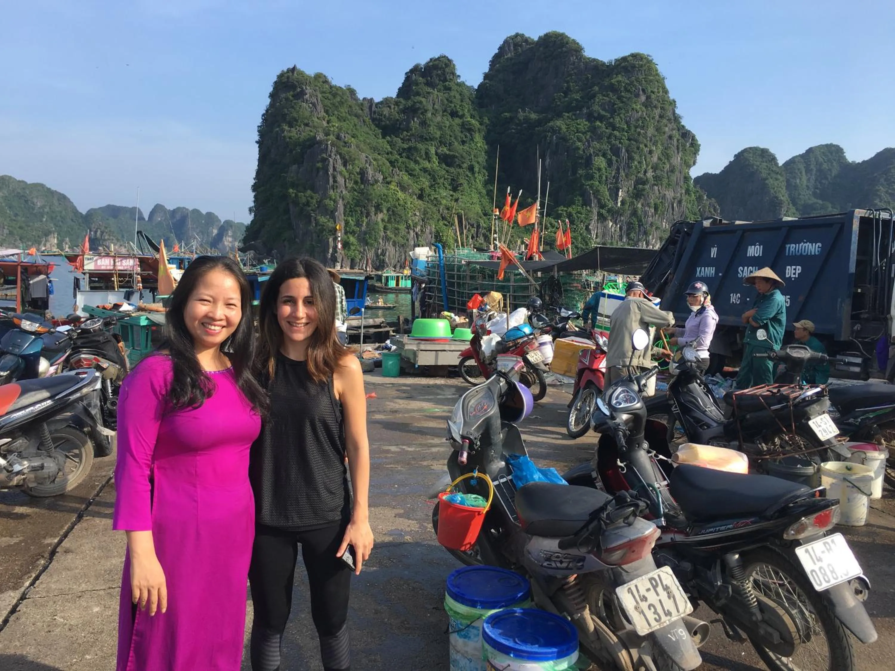 Animals in Halo Bay Homestay