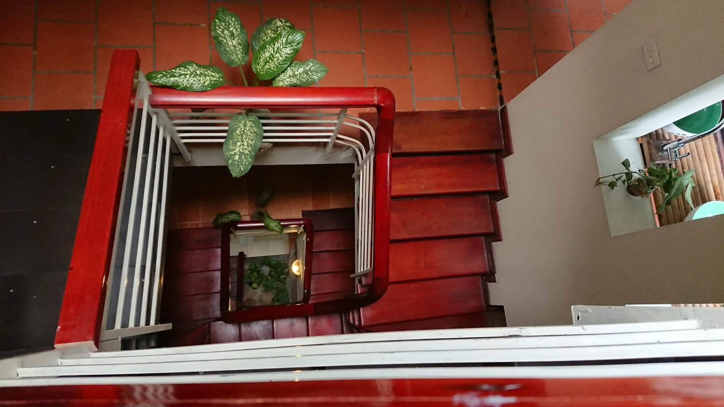 Patio in Halo Bay Homestay