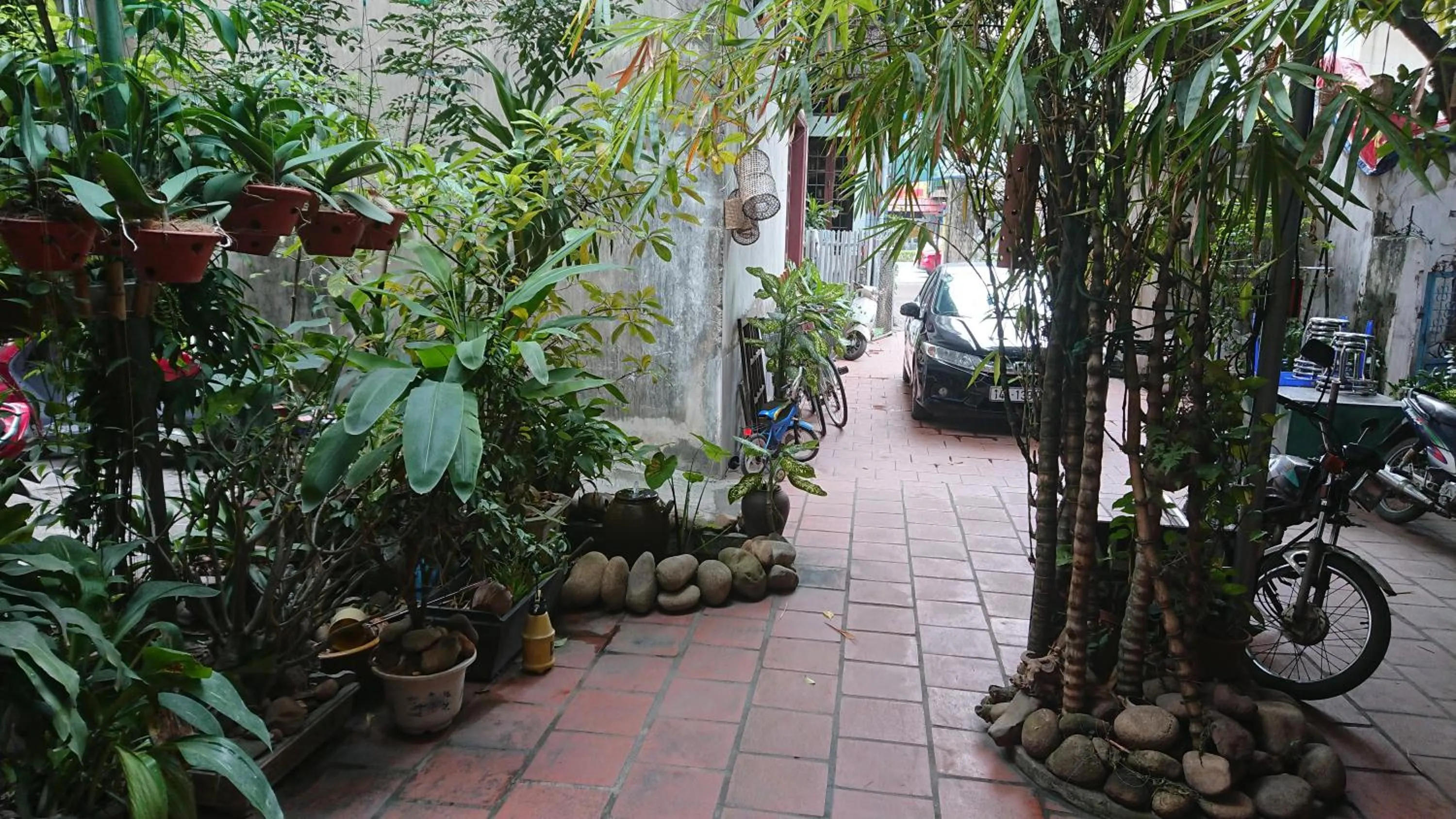 Garden in Halo Bay Homestay