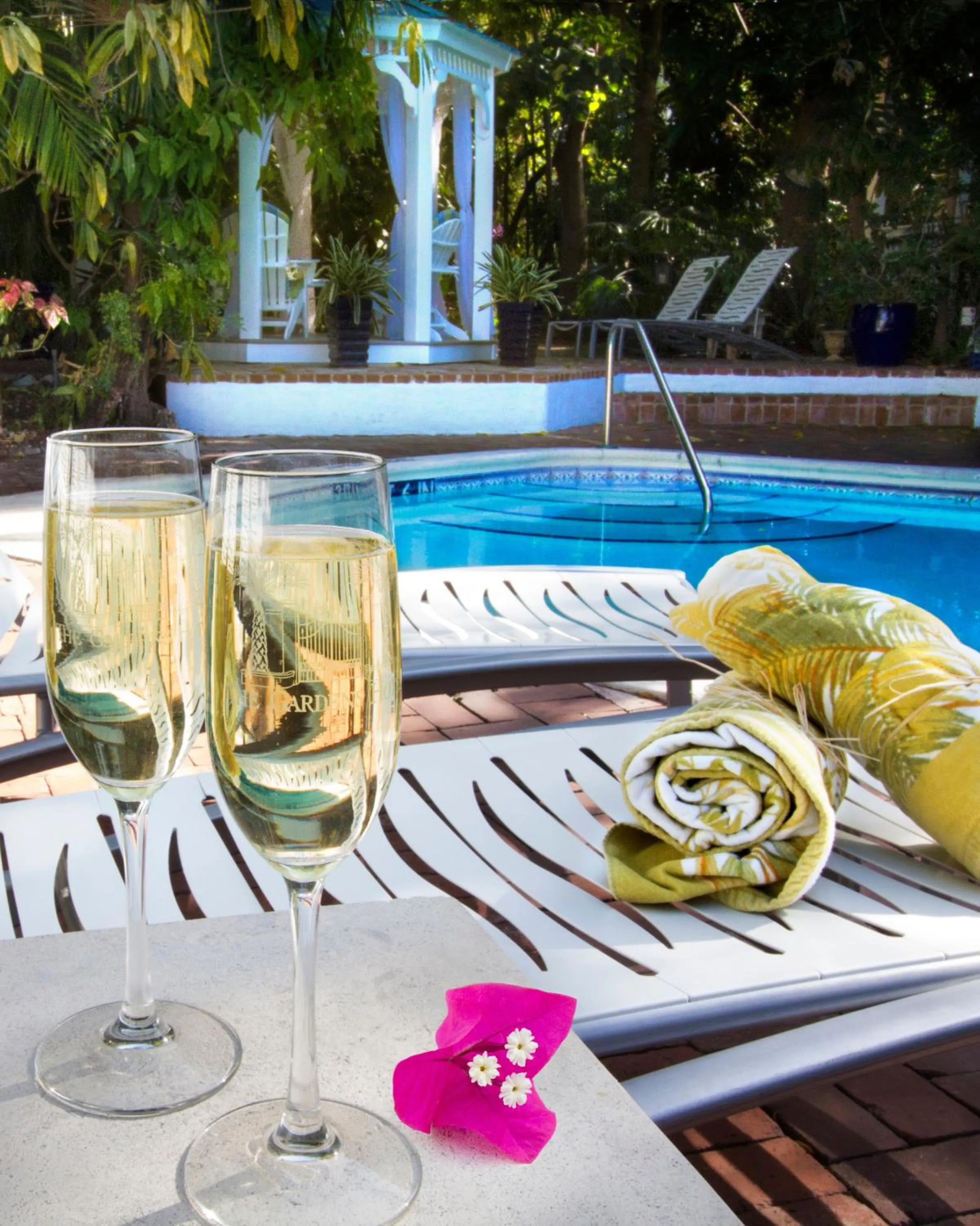 Food and drinks in The Gardens Hotel