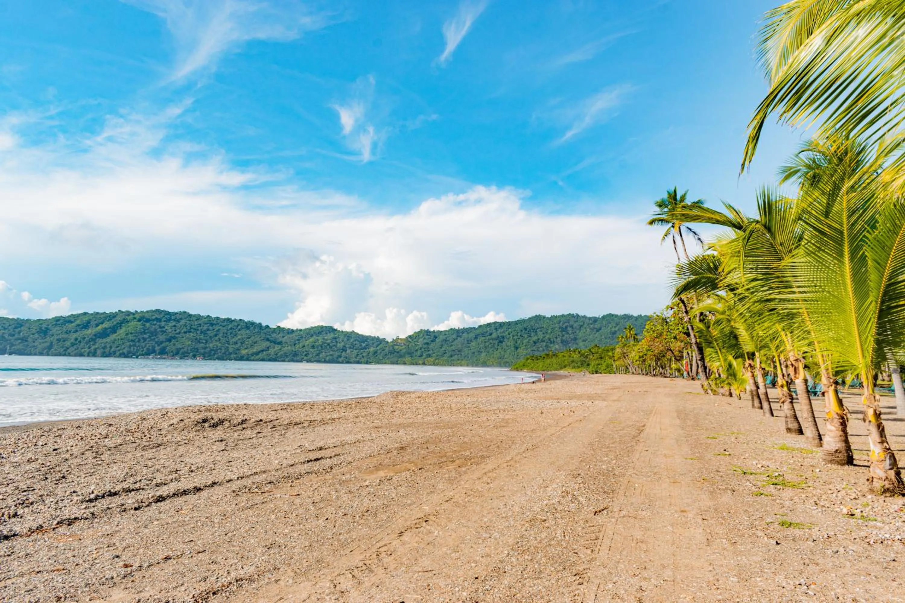 Beach in Barceló Tambor - All Inclusive