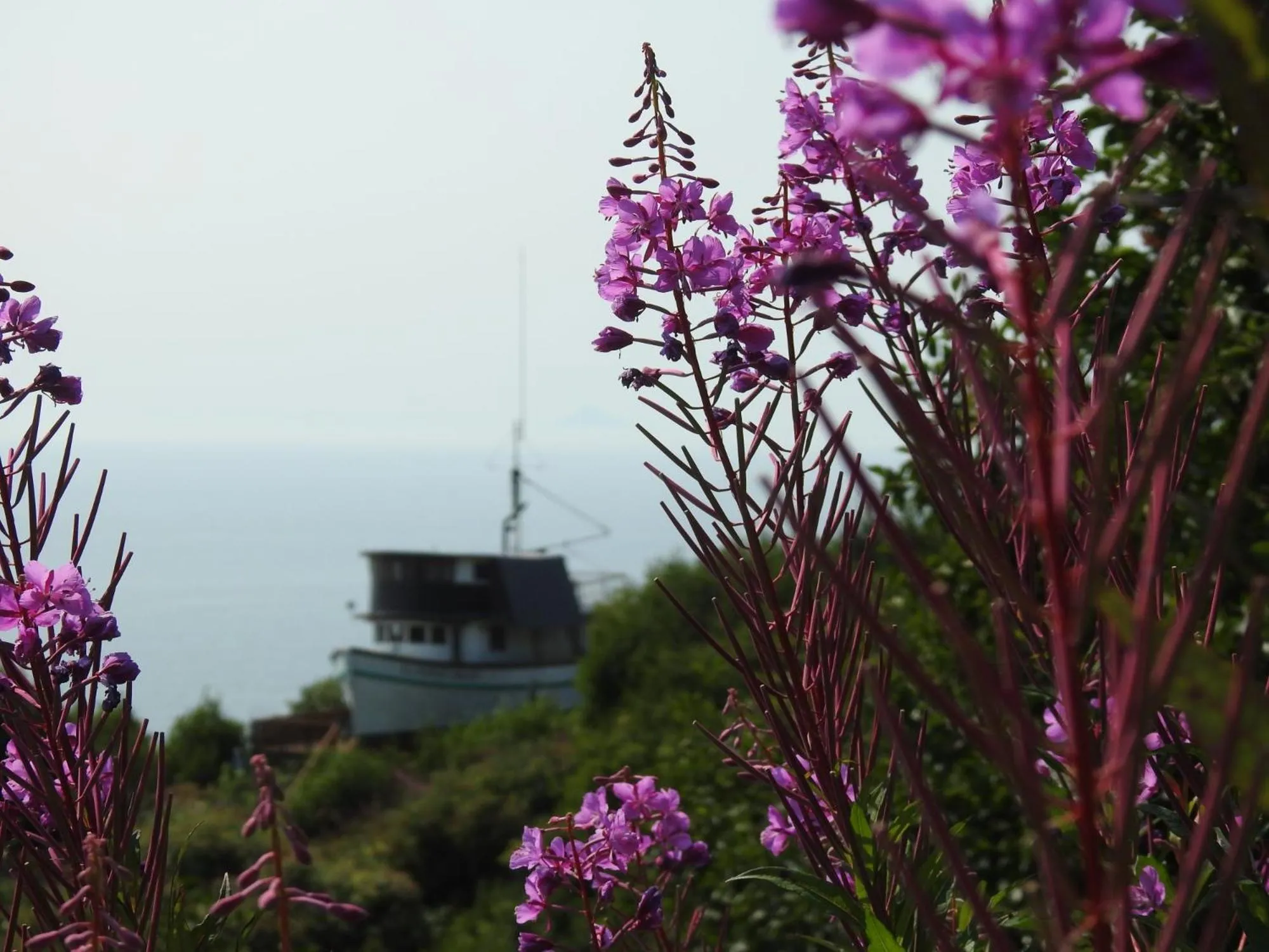 Alaska Adventure Cabins