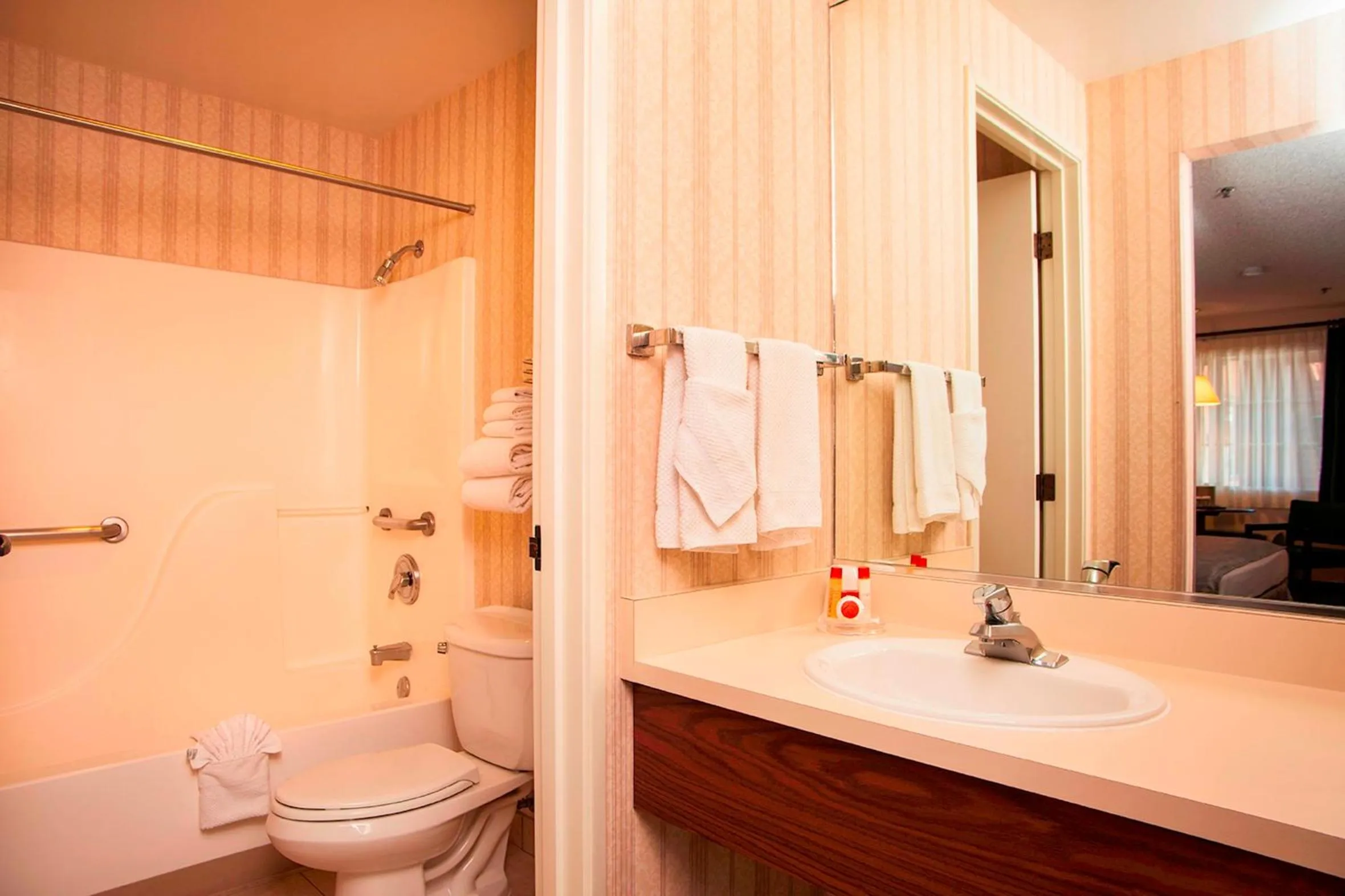 Bathroom in Carson Valley Motor Lodge and Suites