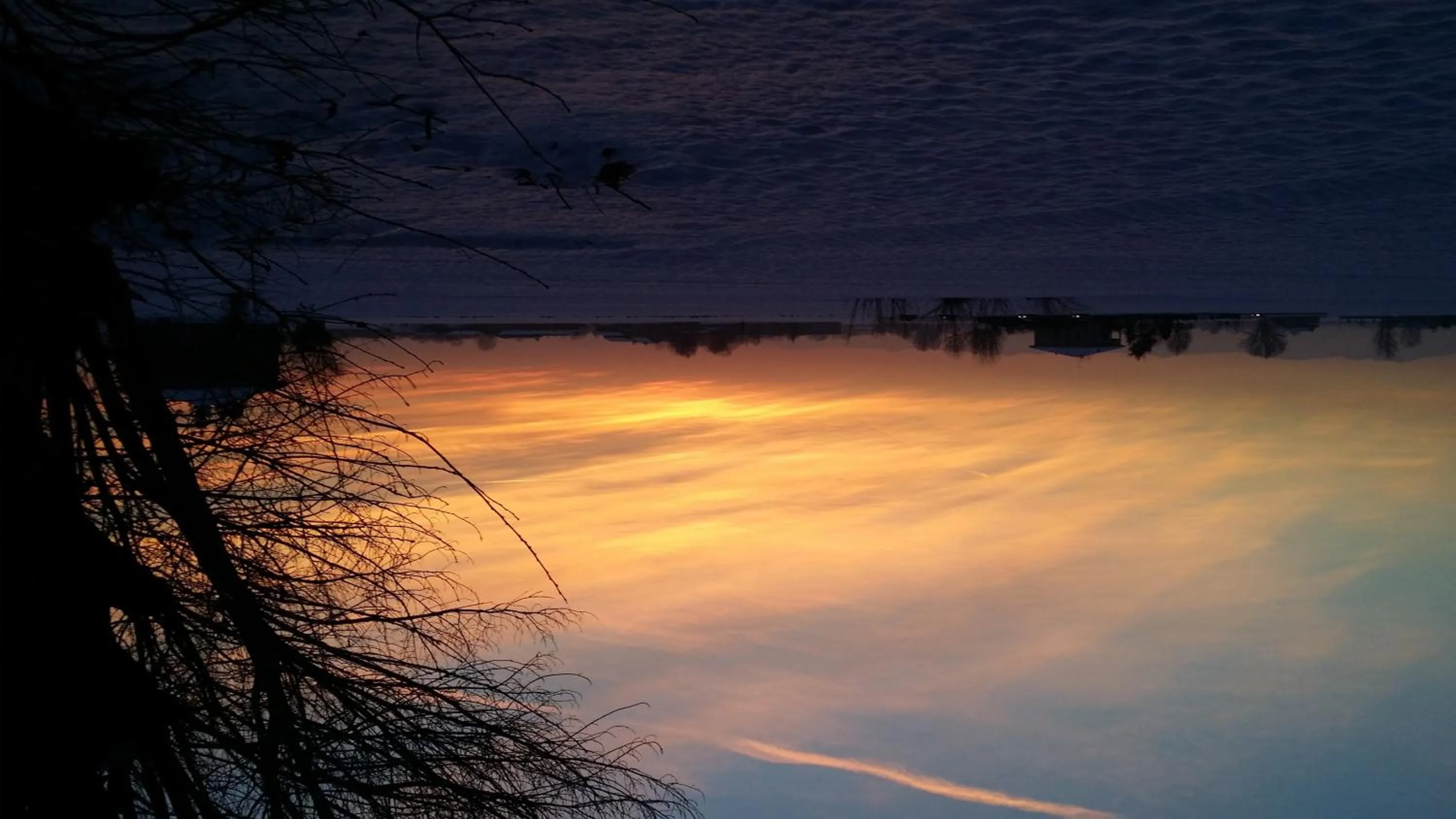 Winter in La casa dei gatti