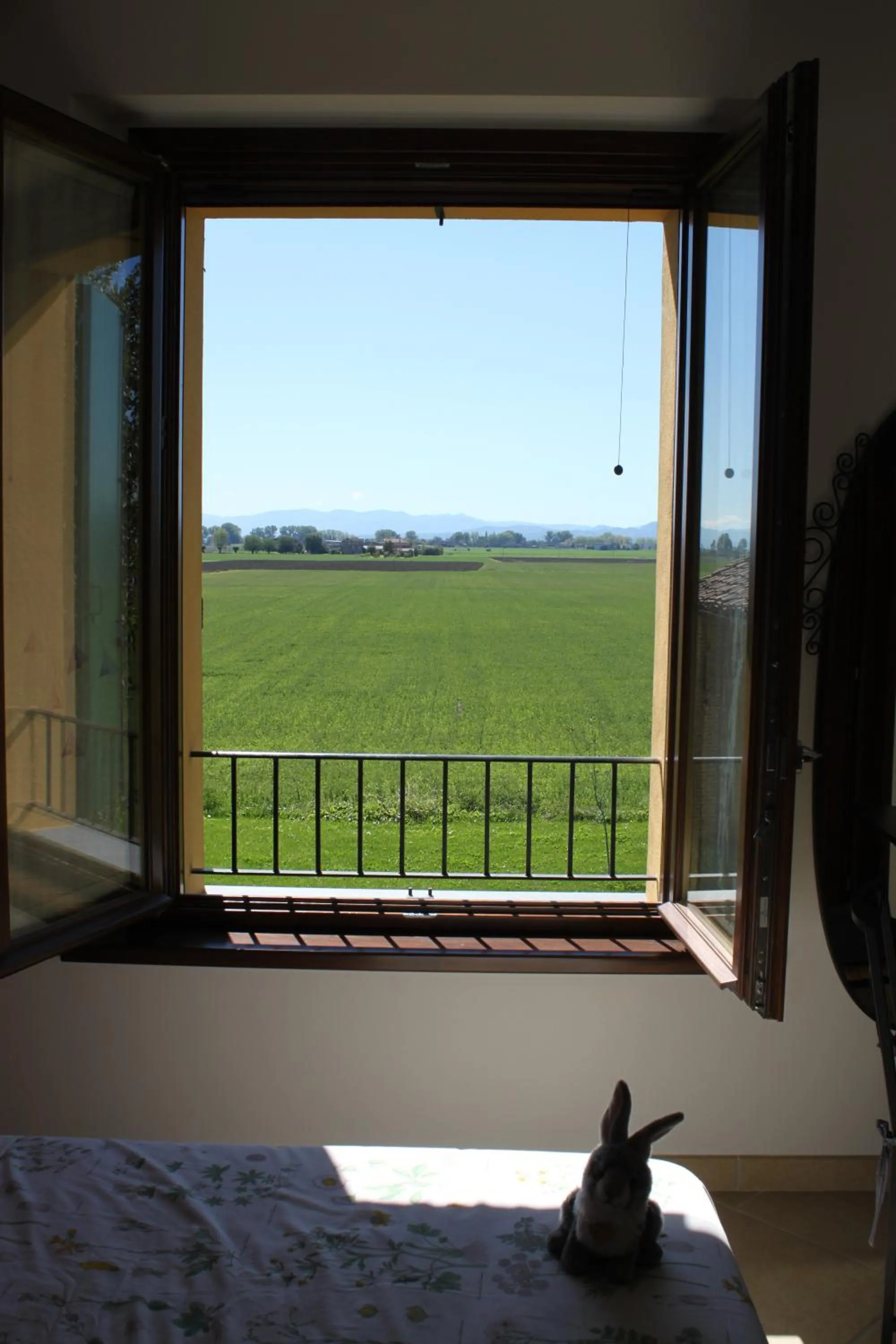 Day, Bed in La casa dei gatti