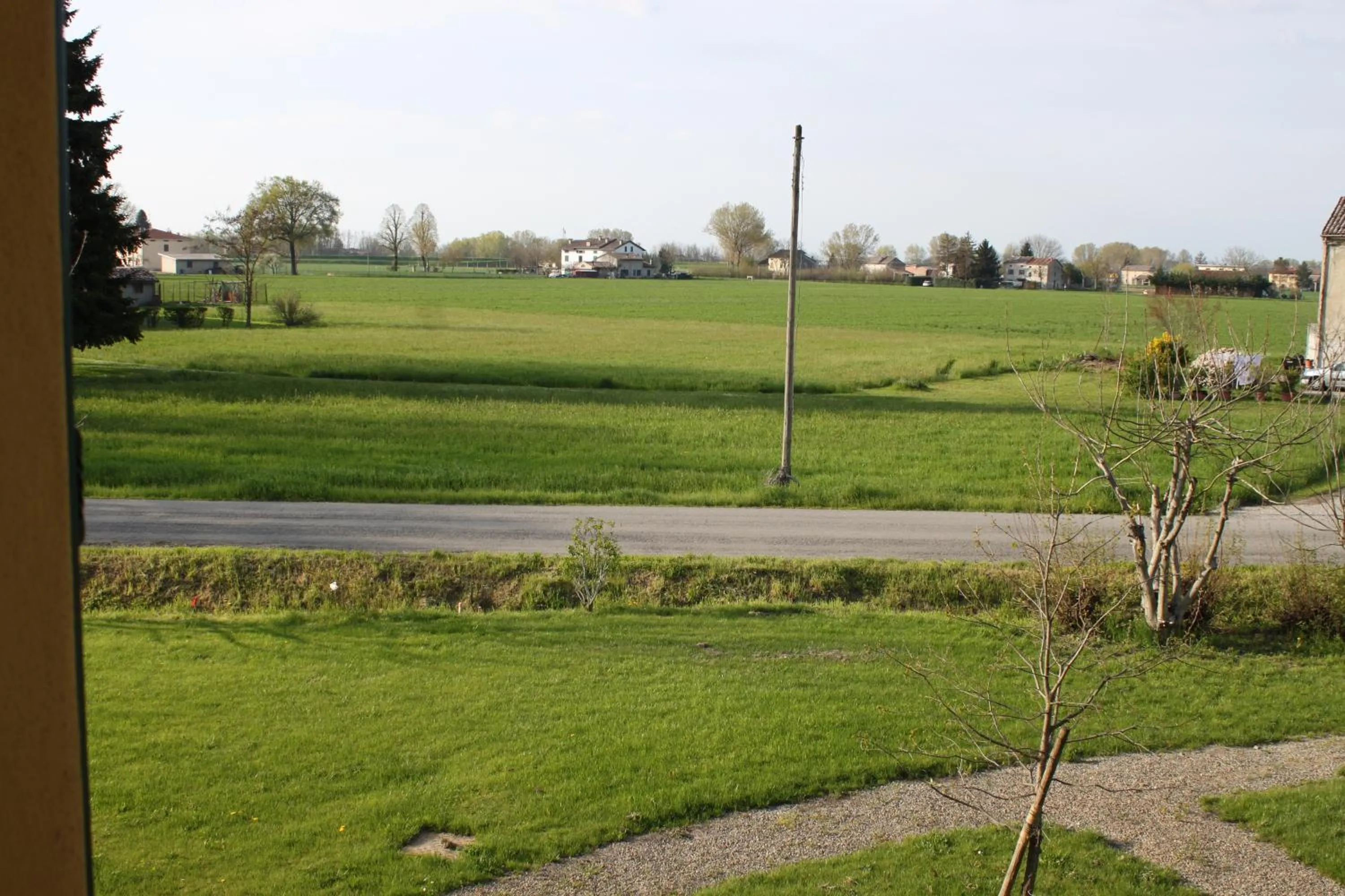 Spring in La casa dei gatti