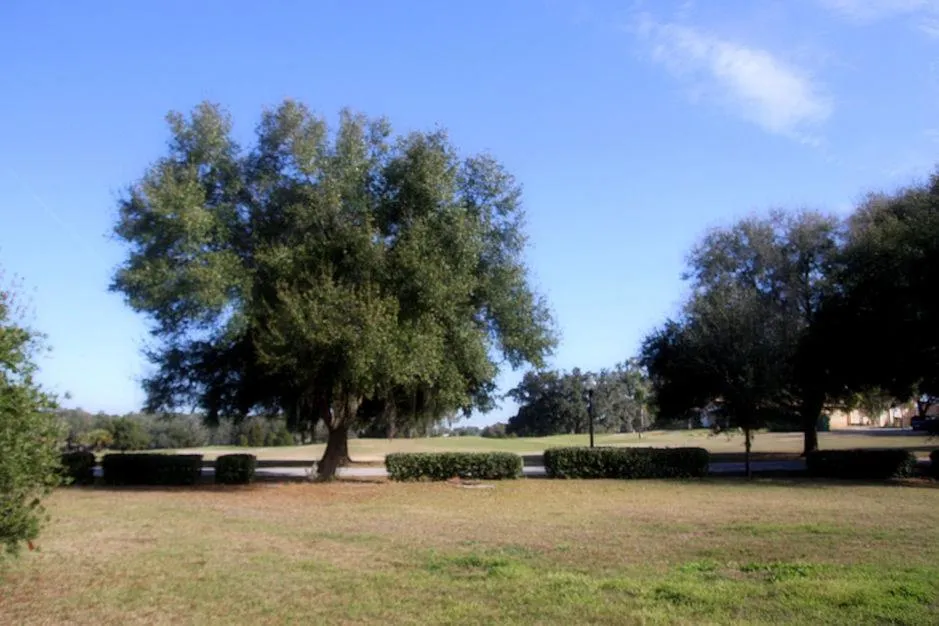 Day in Lakeside Vacations