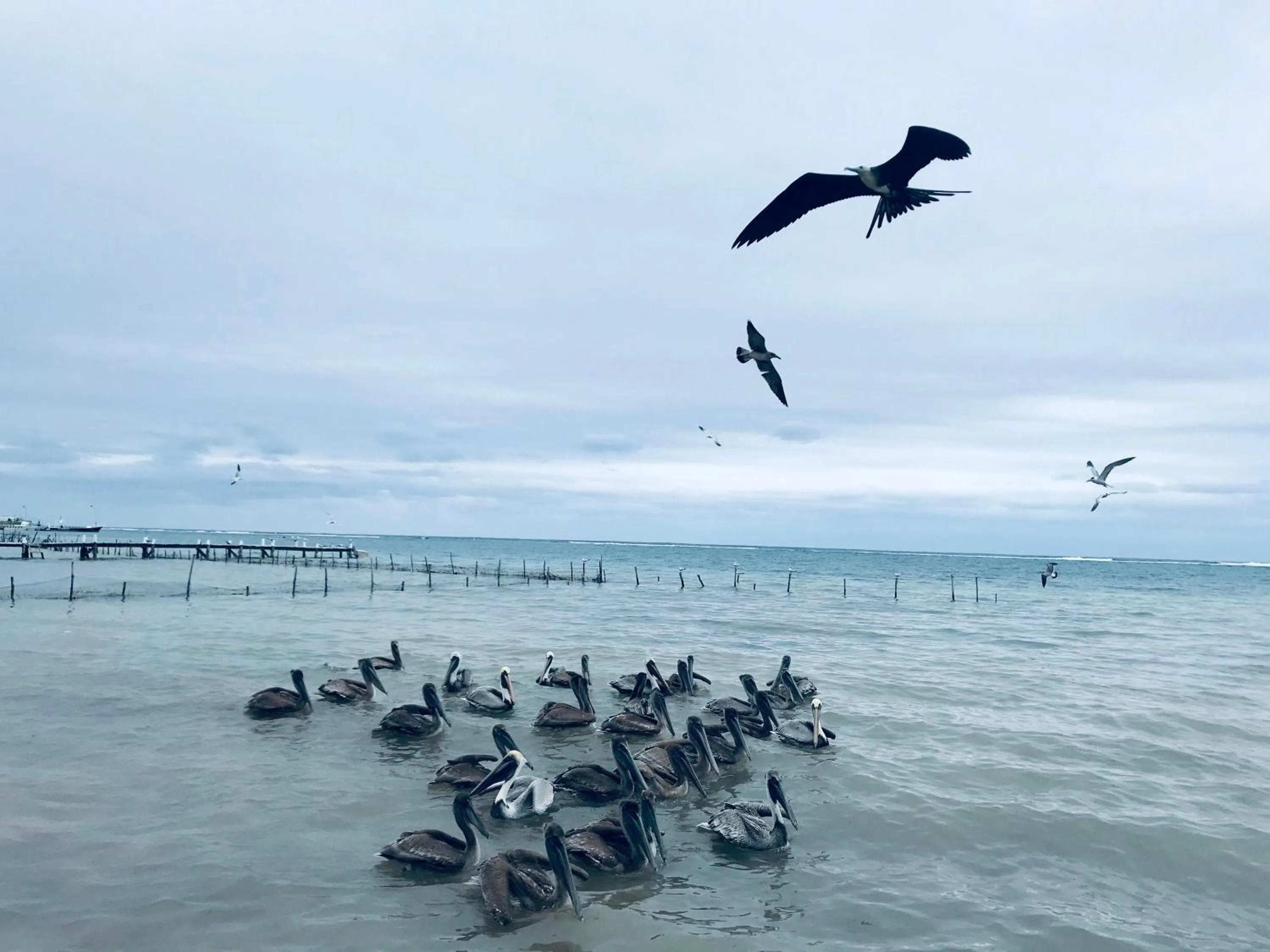 Natural landscape in Hotel Luna De Plata Mahahual