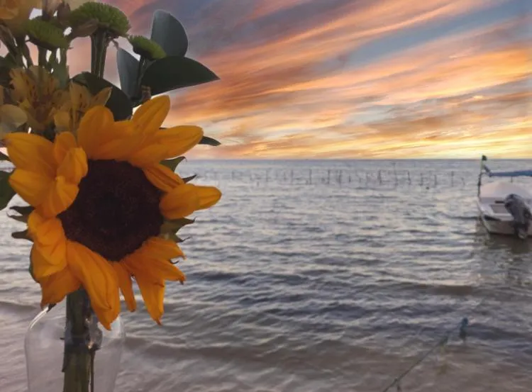Natural landscape in Hotel Luna De Plata Mahahual