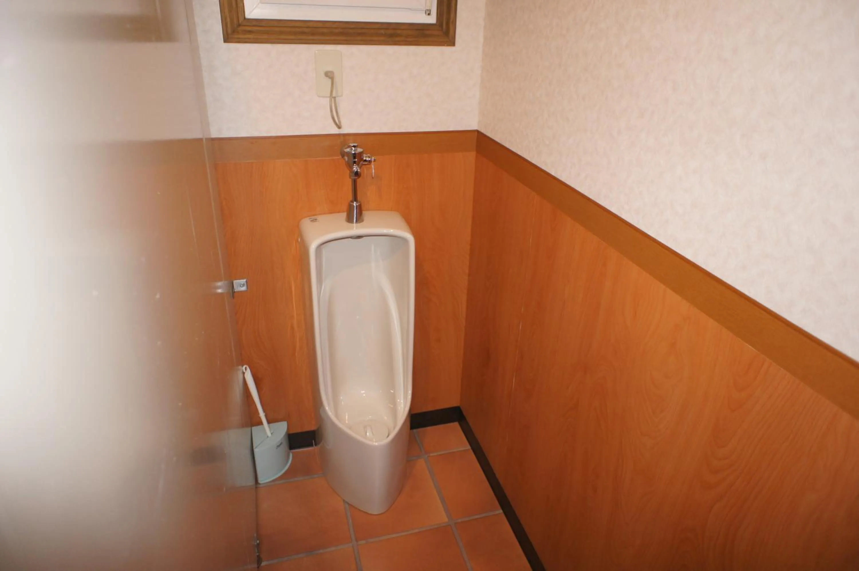 Toilet in Landhaus Dancru Netz