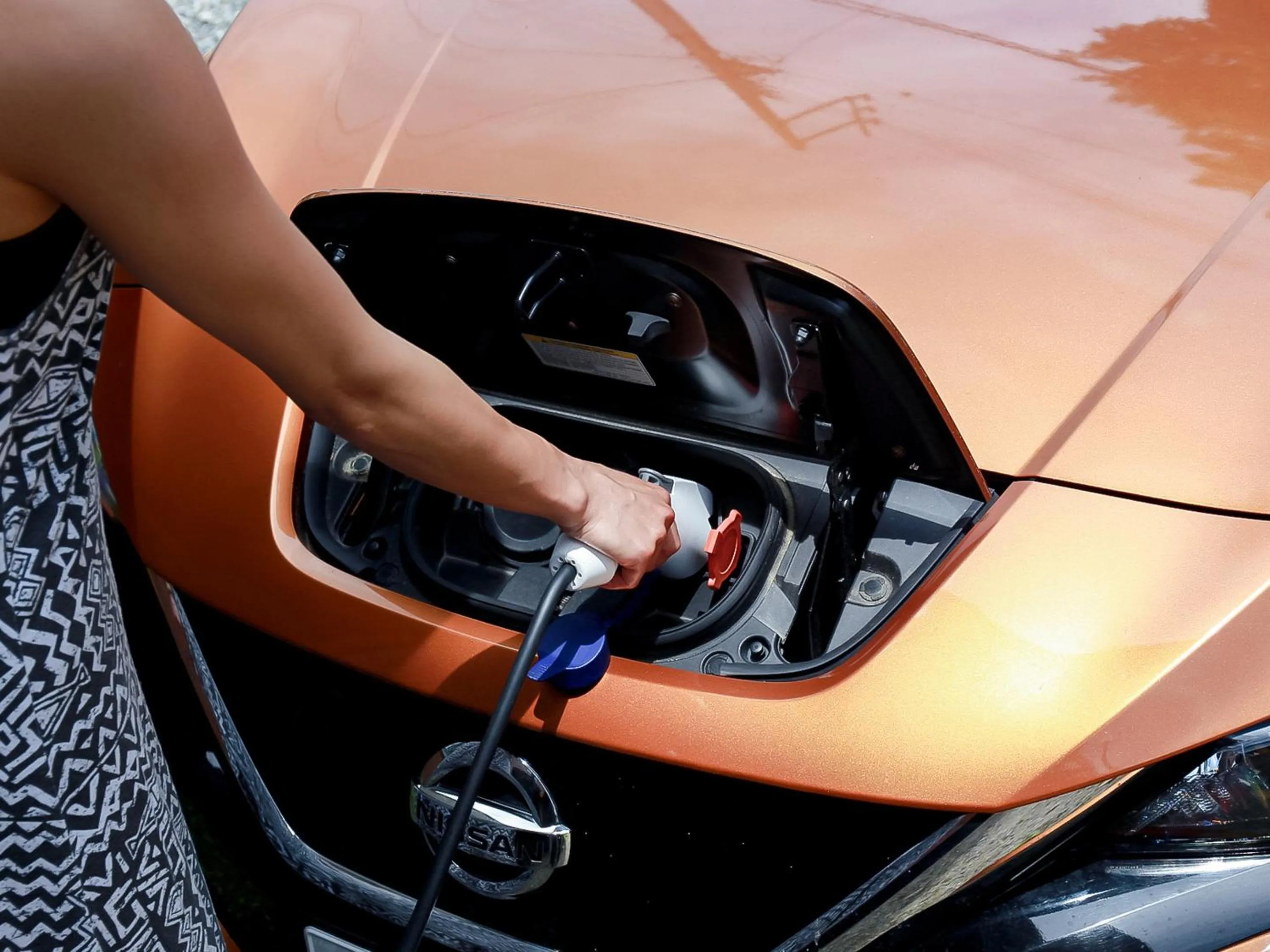 Area and facilities in Landhaus Dancru Netz