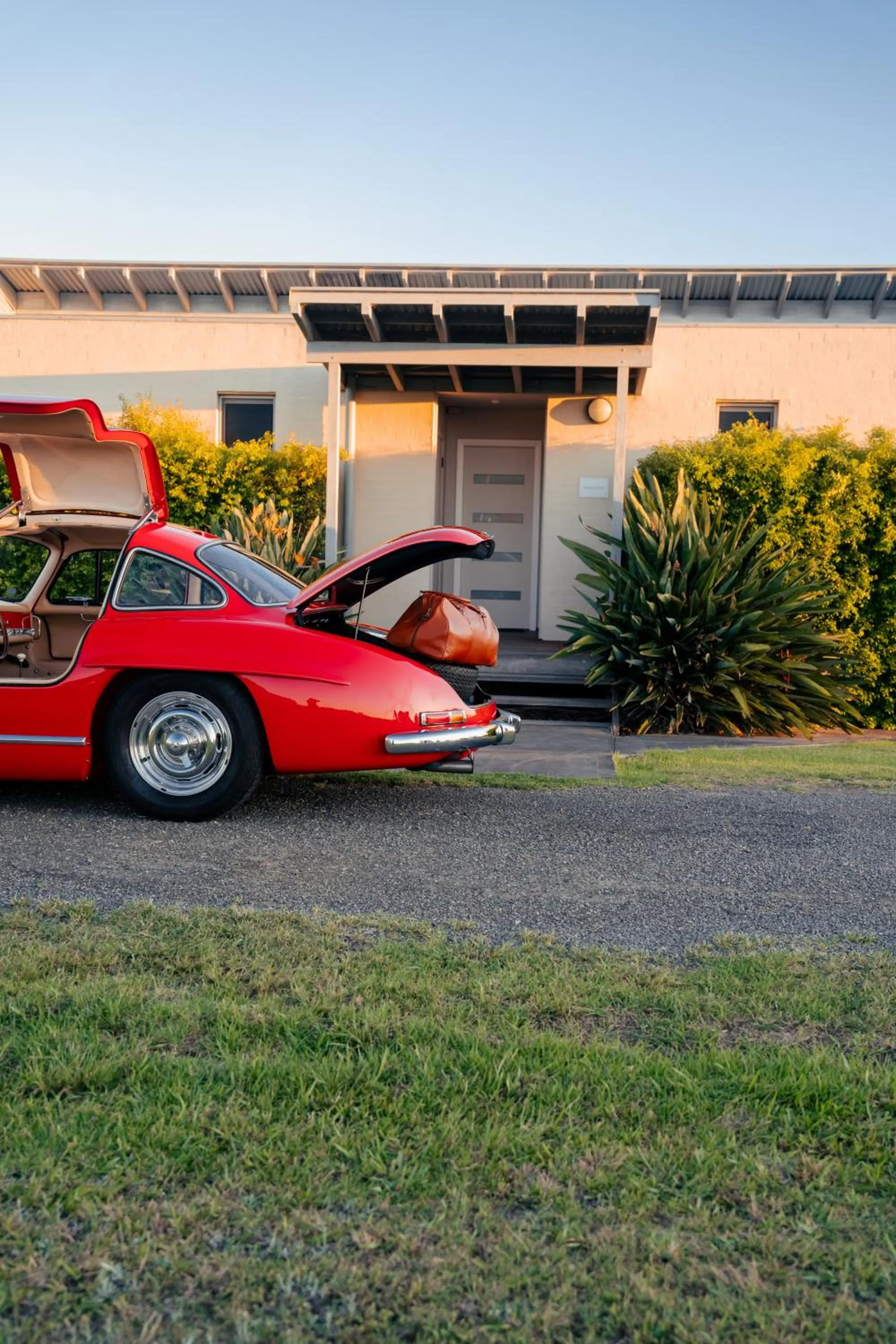 Day in Adina Vineyard