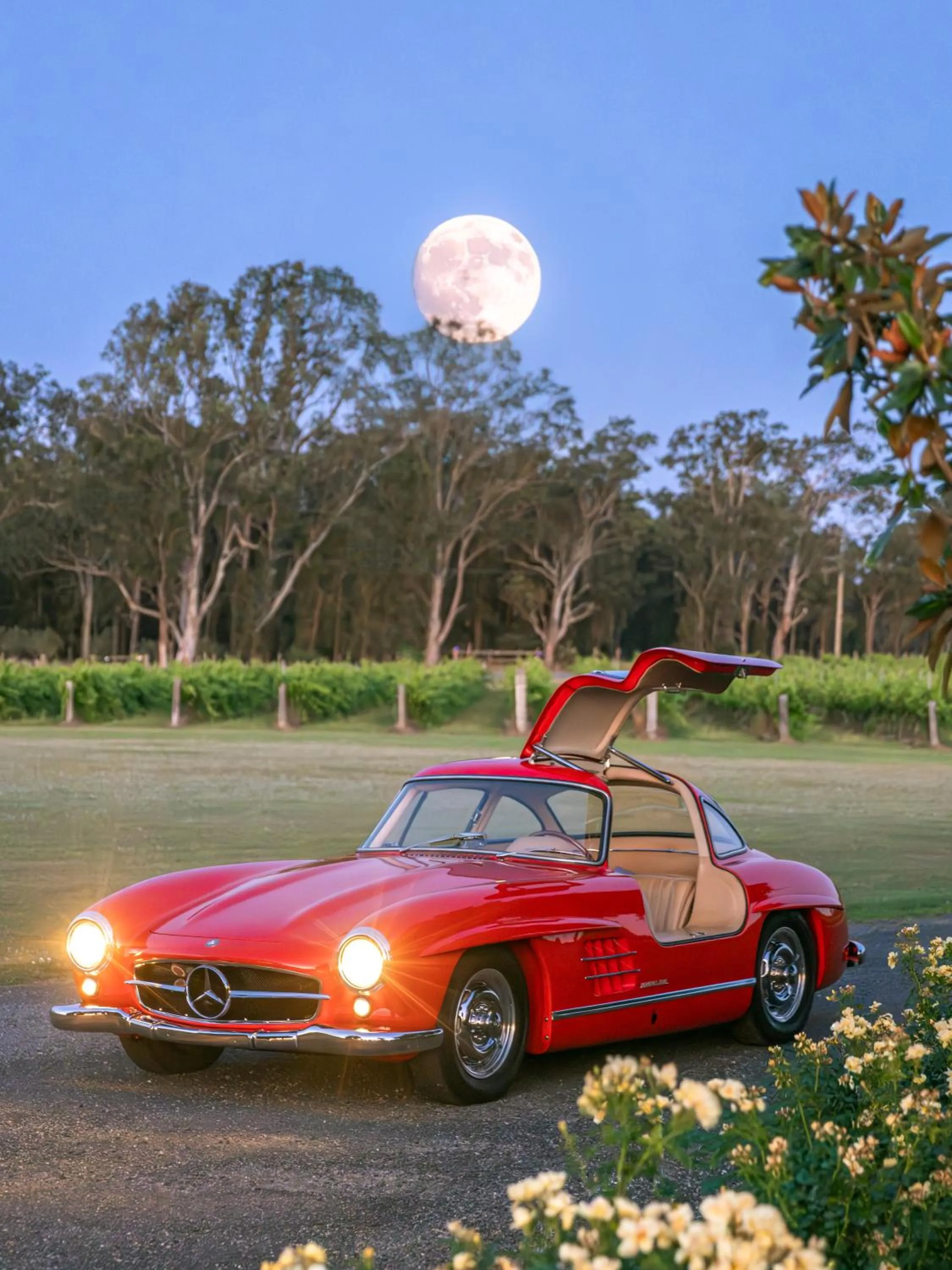 View (from property/room) in Adina Vineyard