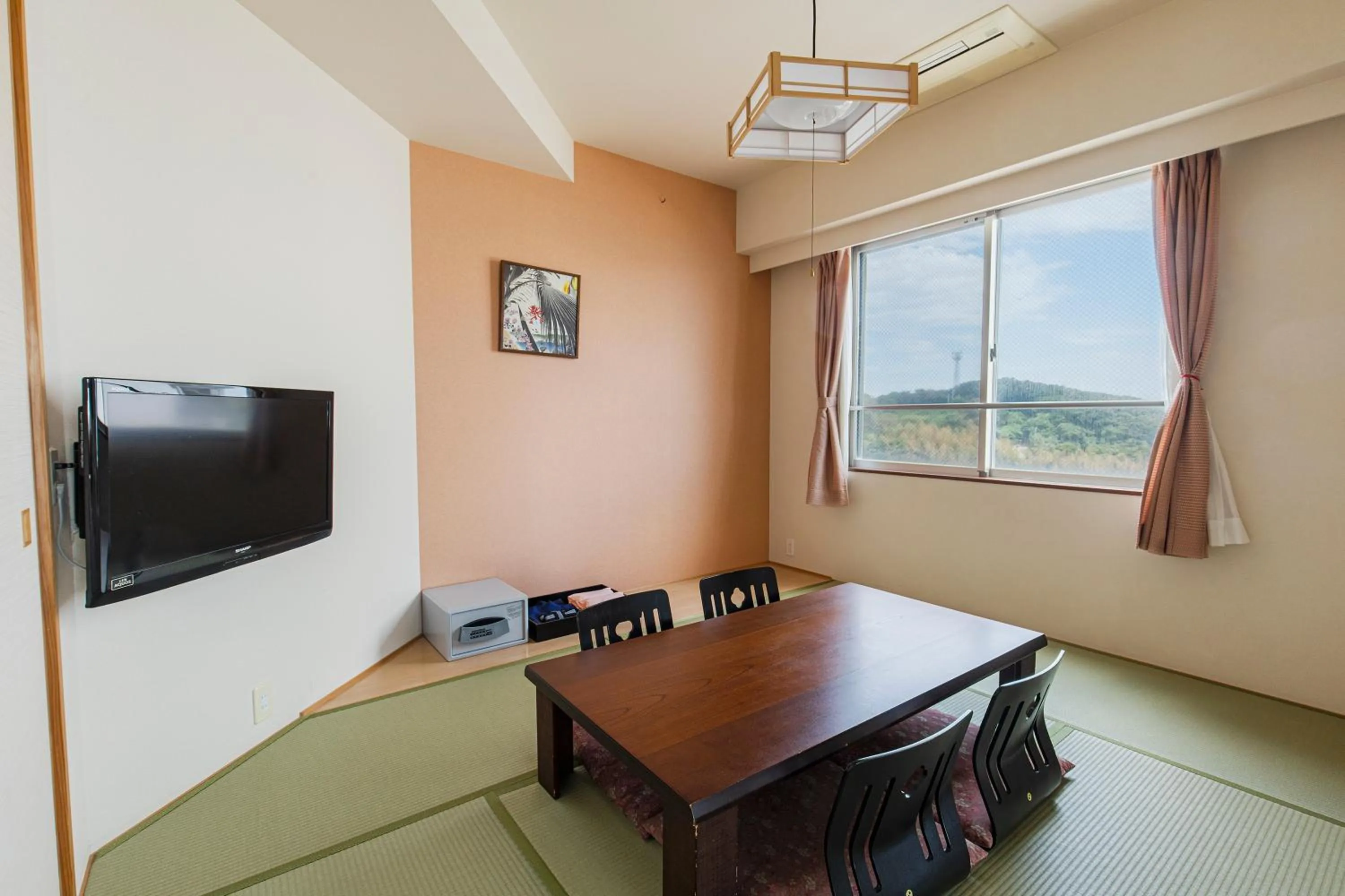 TV and multimedia in Samson Hotel