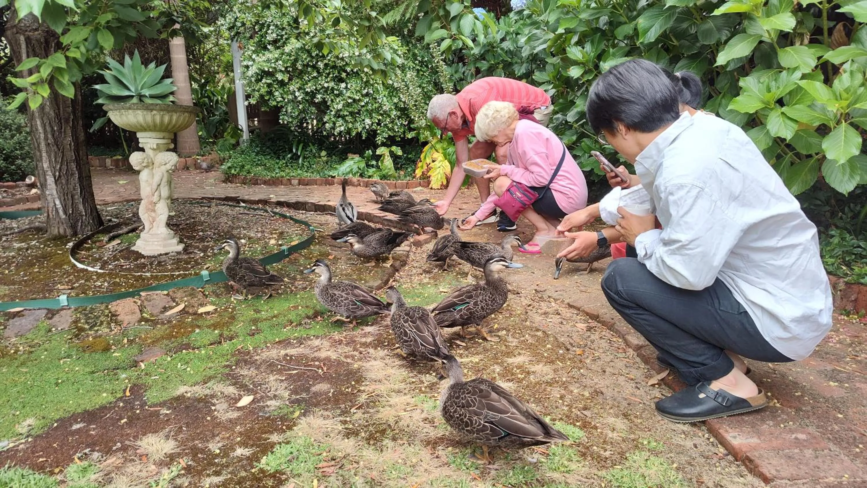 Garden in Adamsons Riverside