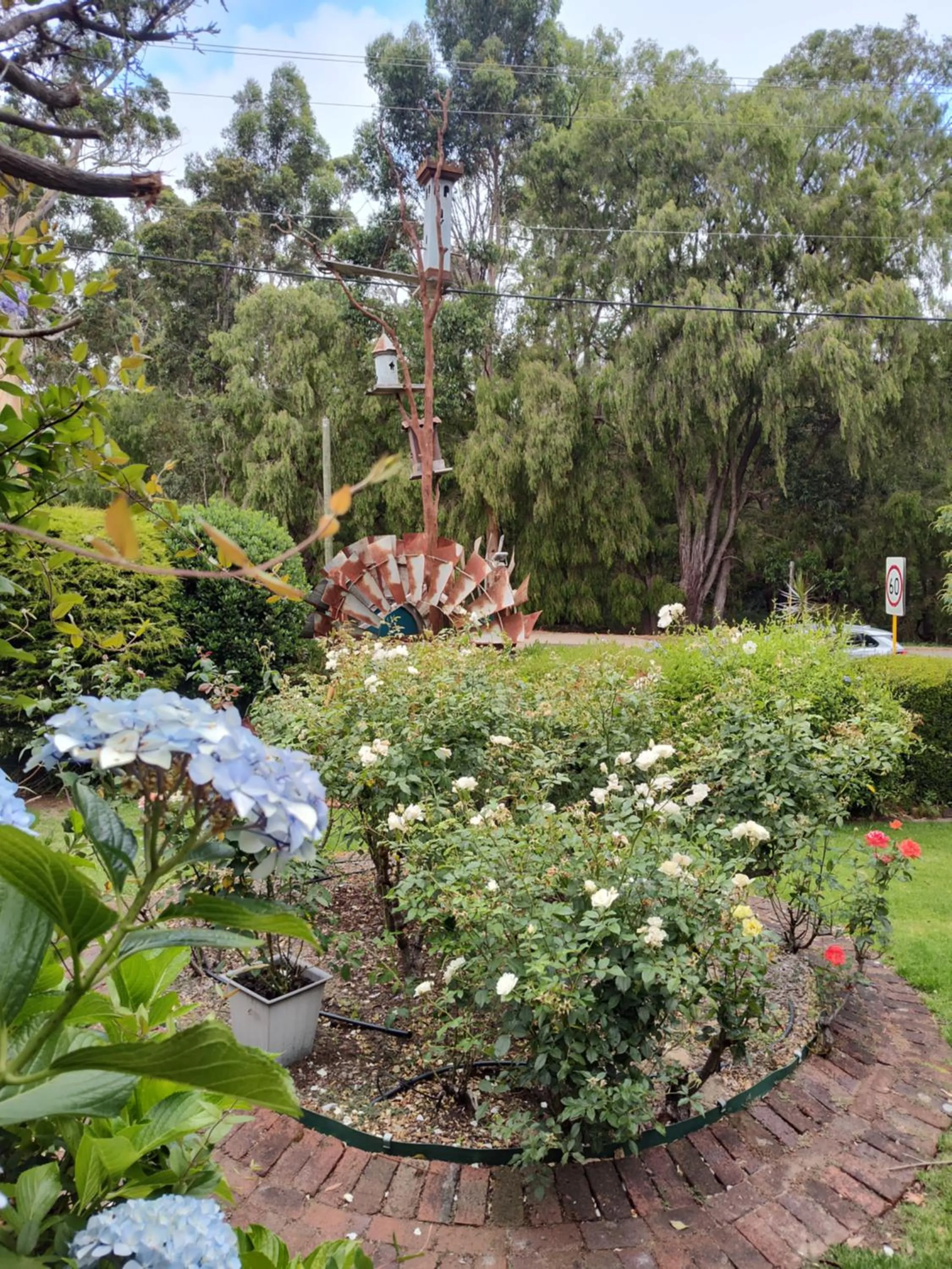 Garden in Adamsons Riverside