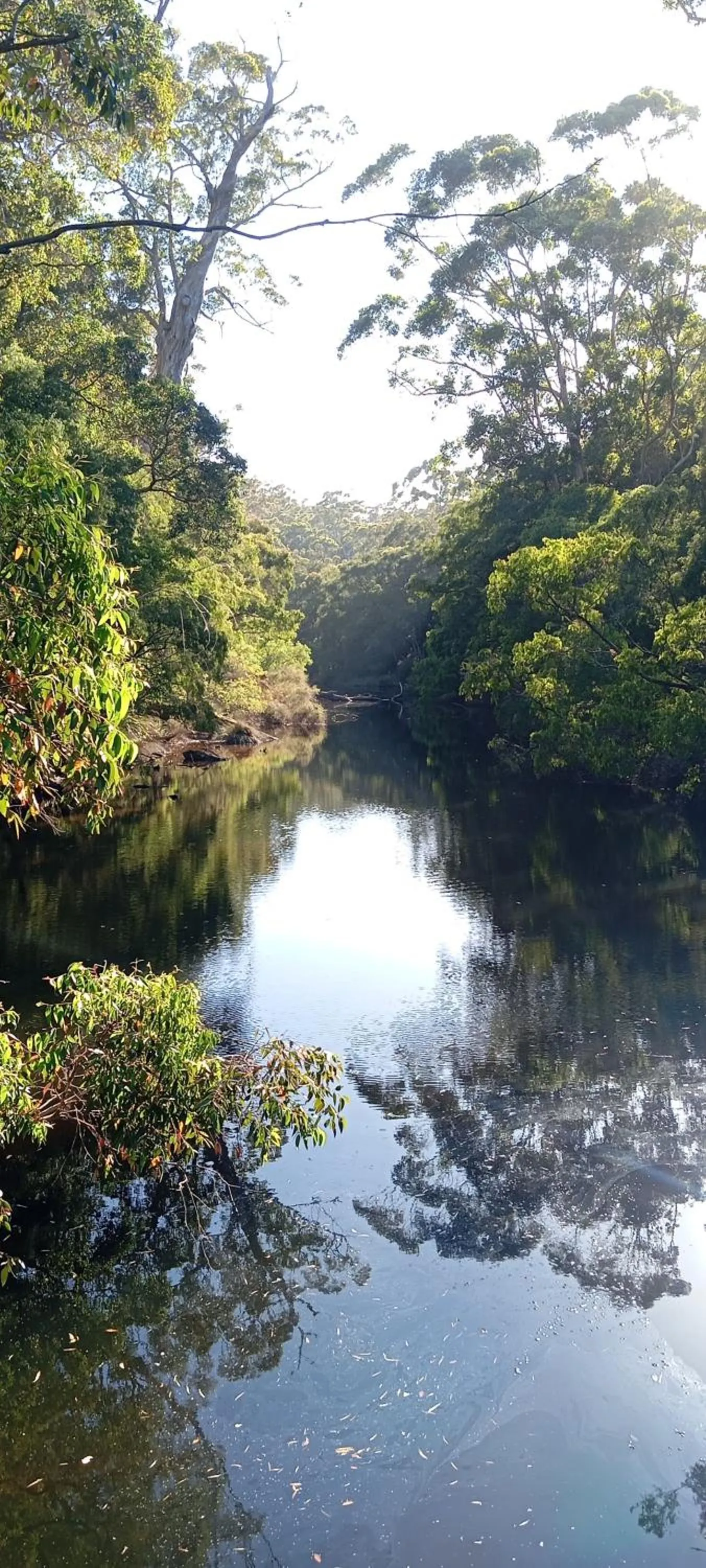 Nearby landmark in Adamsons Riverside
