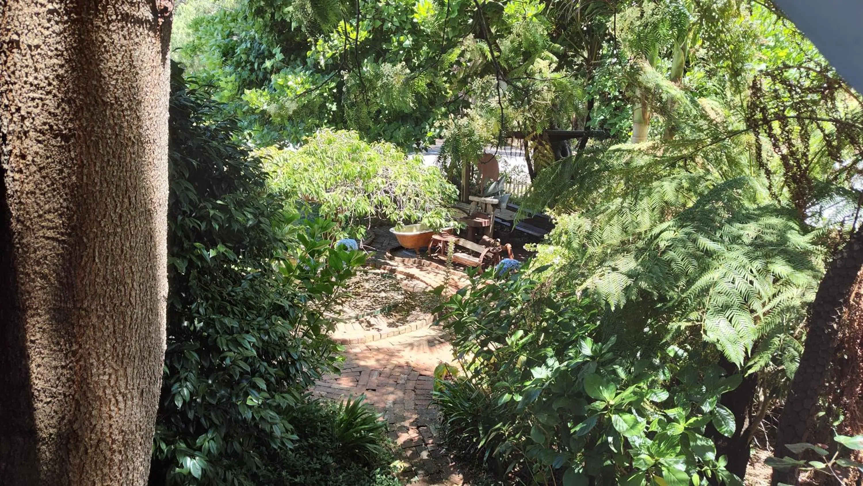 Garden view in Adamsons Riverside