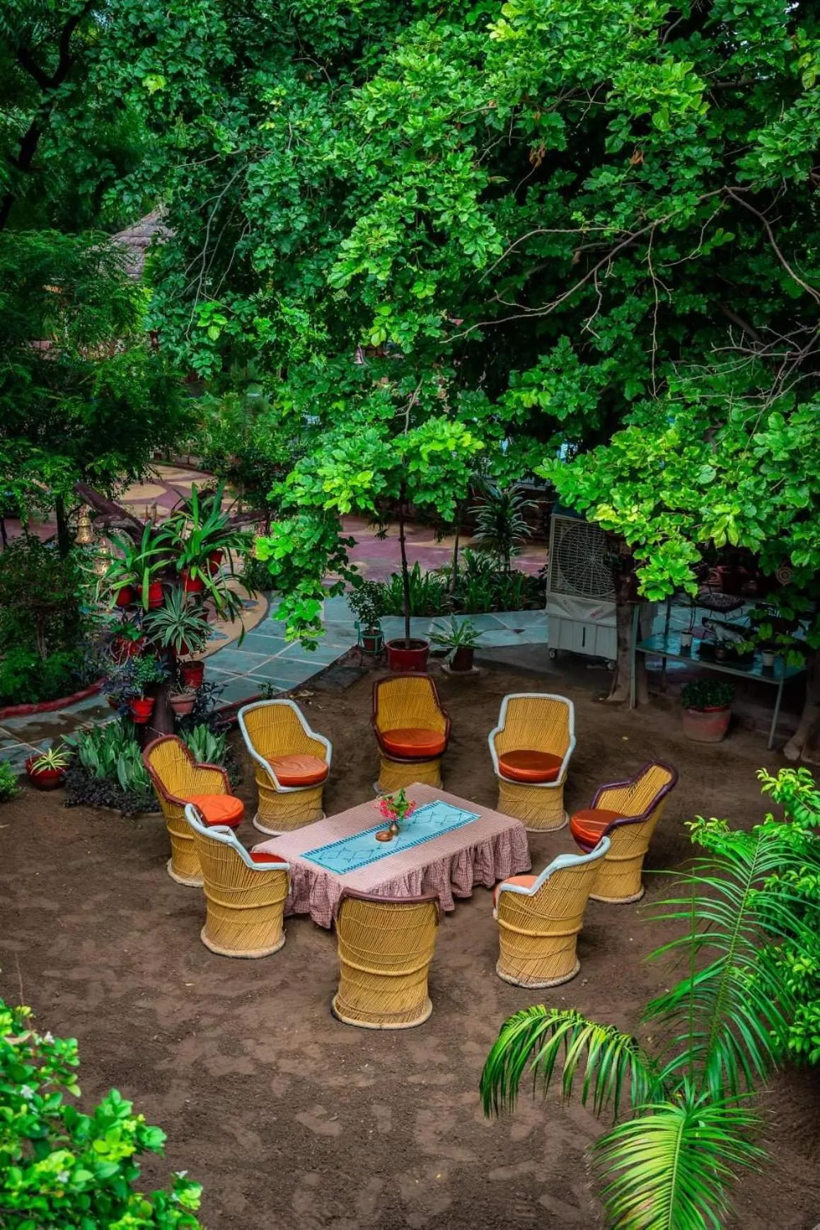 Garden in Mandore Guest House