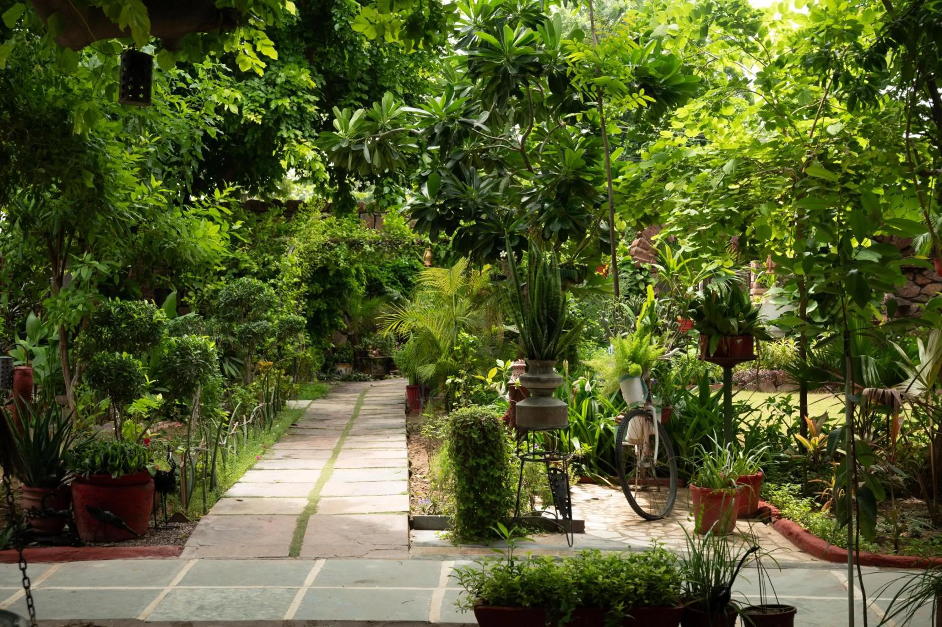 Garden in Mandore Guest House