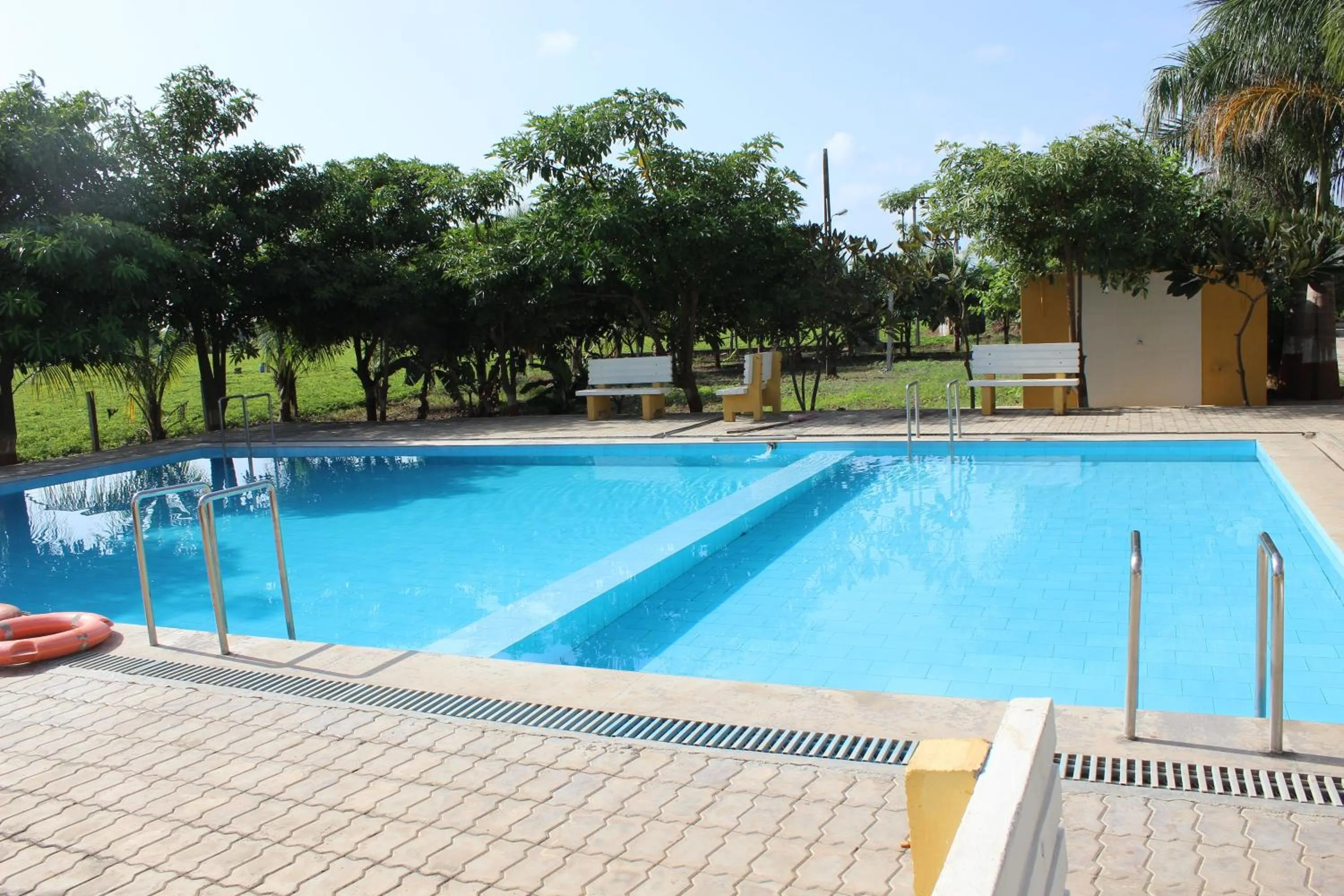 Swimming pool in Gir Jungle Lodge