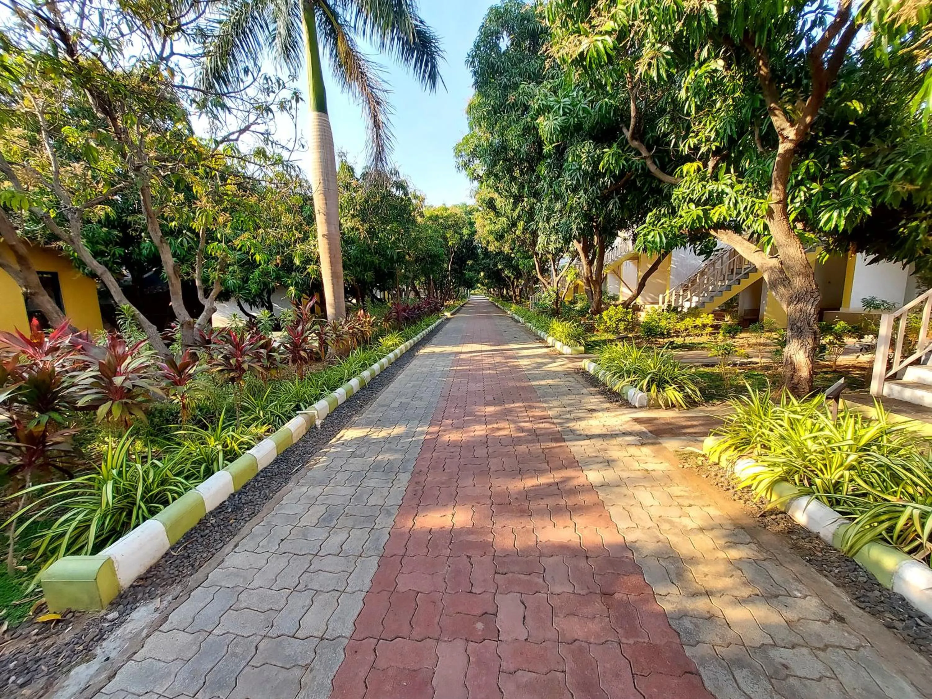 Garden in Gir Jungle Lodge